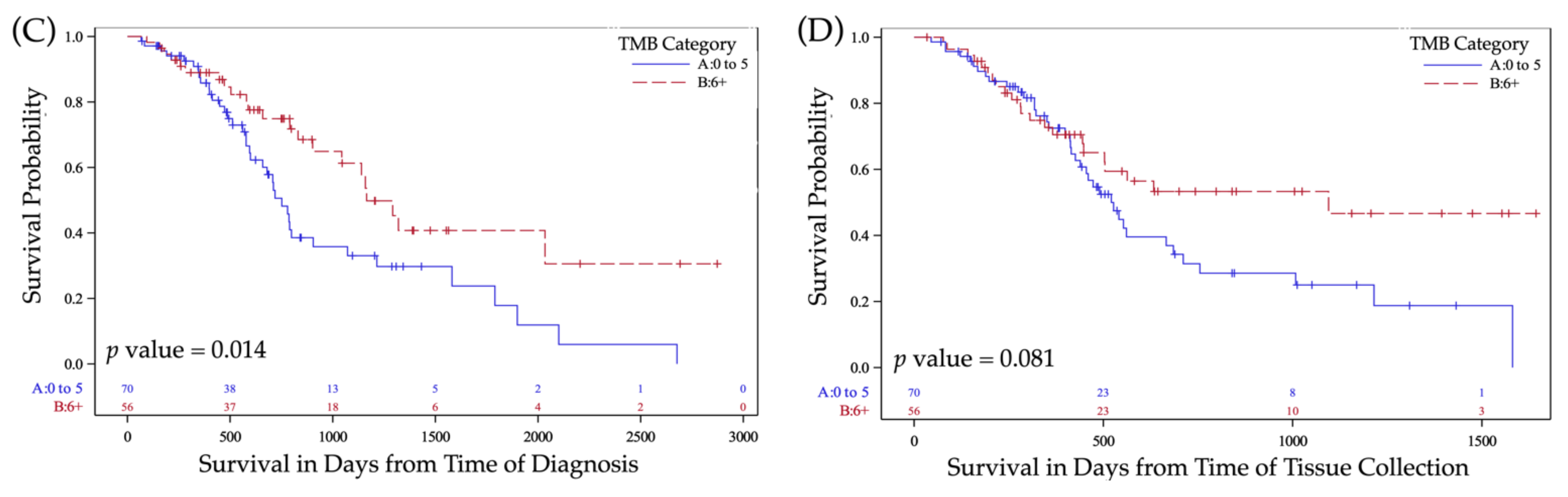 Cancers 13 05733 g003b 550