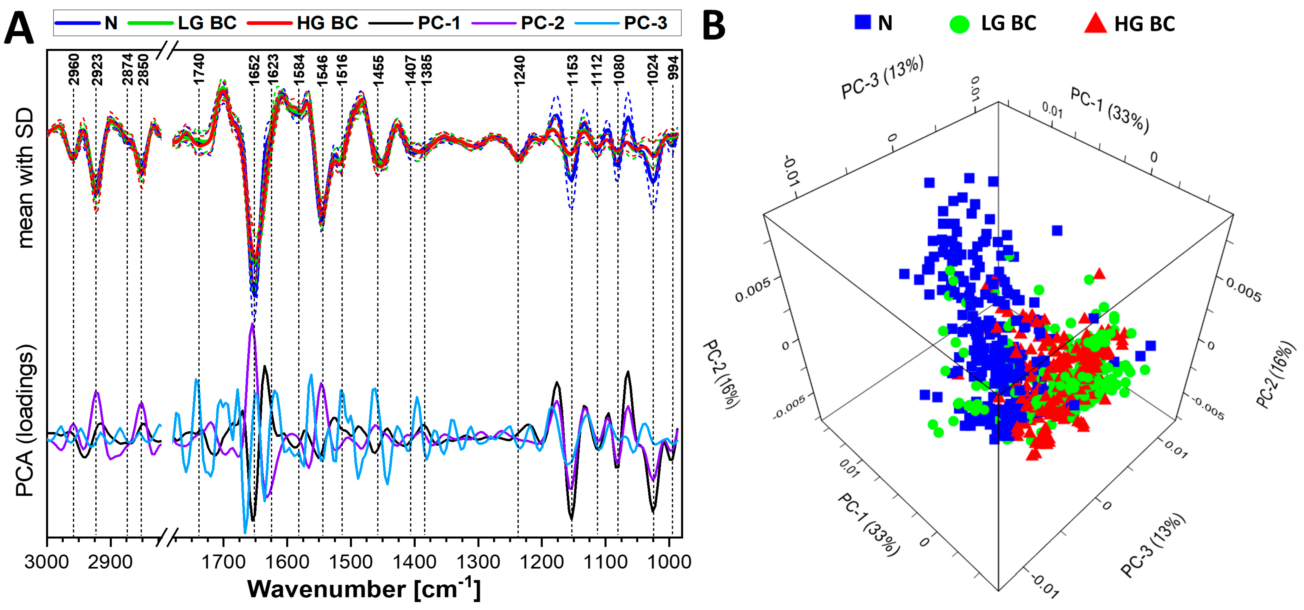 Cancers 13 05734 g002 550