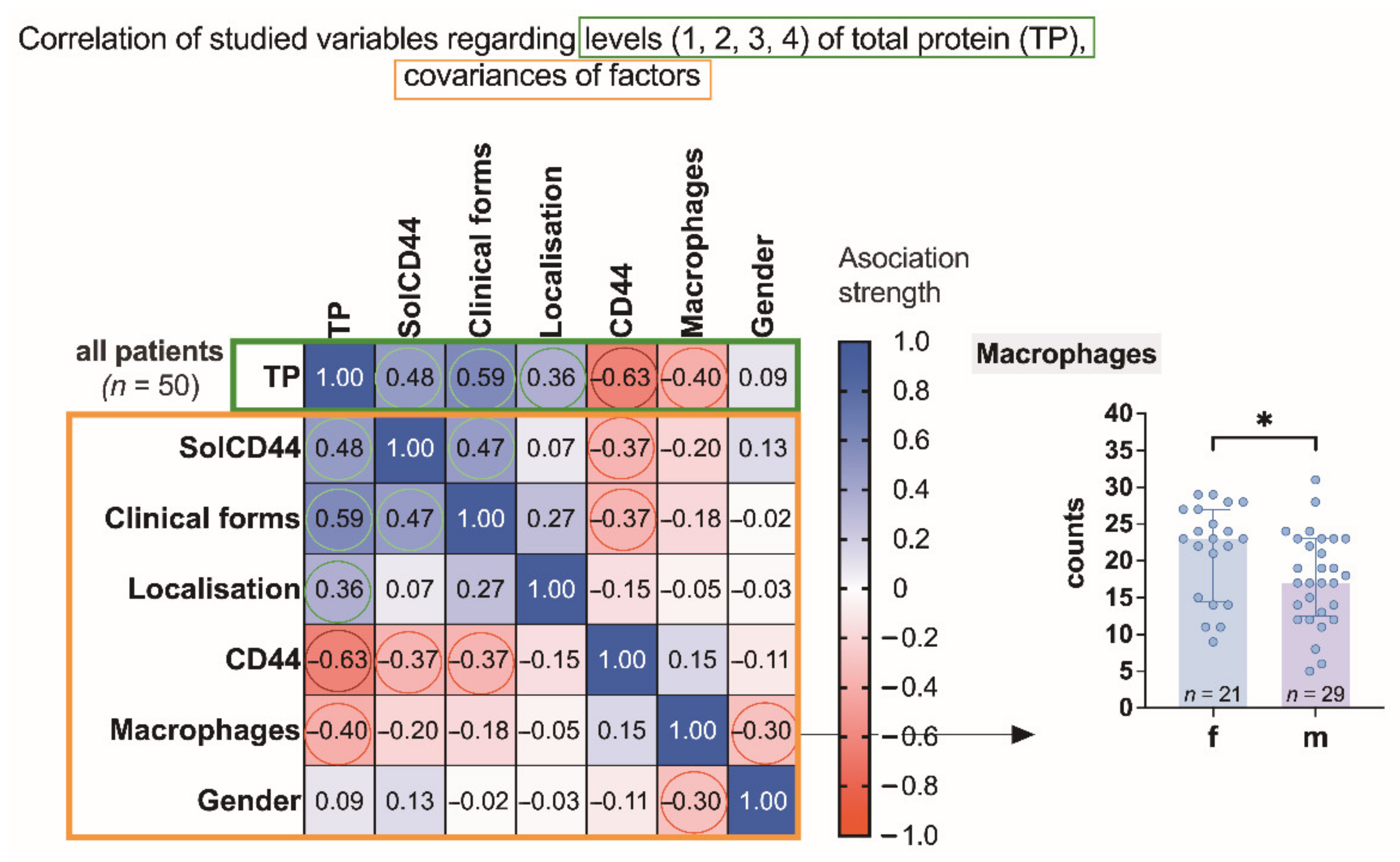 Cancers 13 05739 g001 550