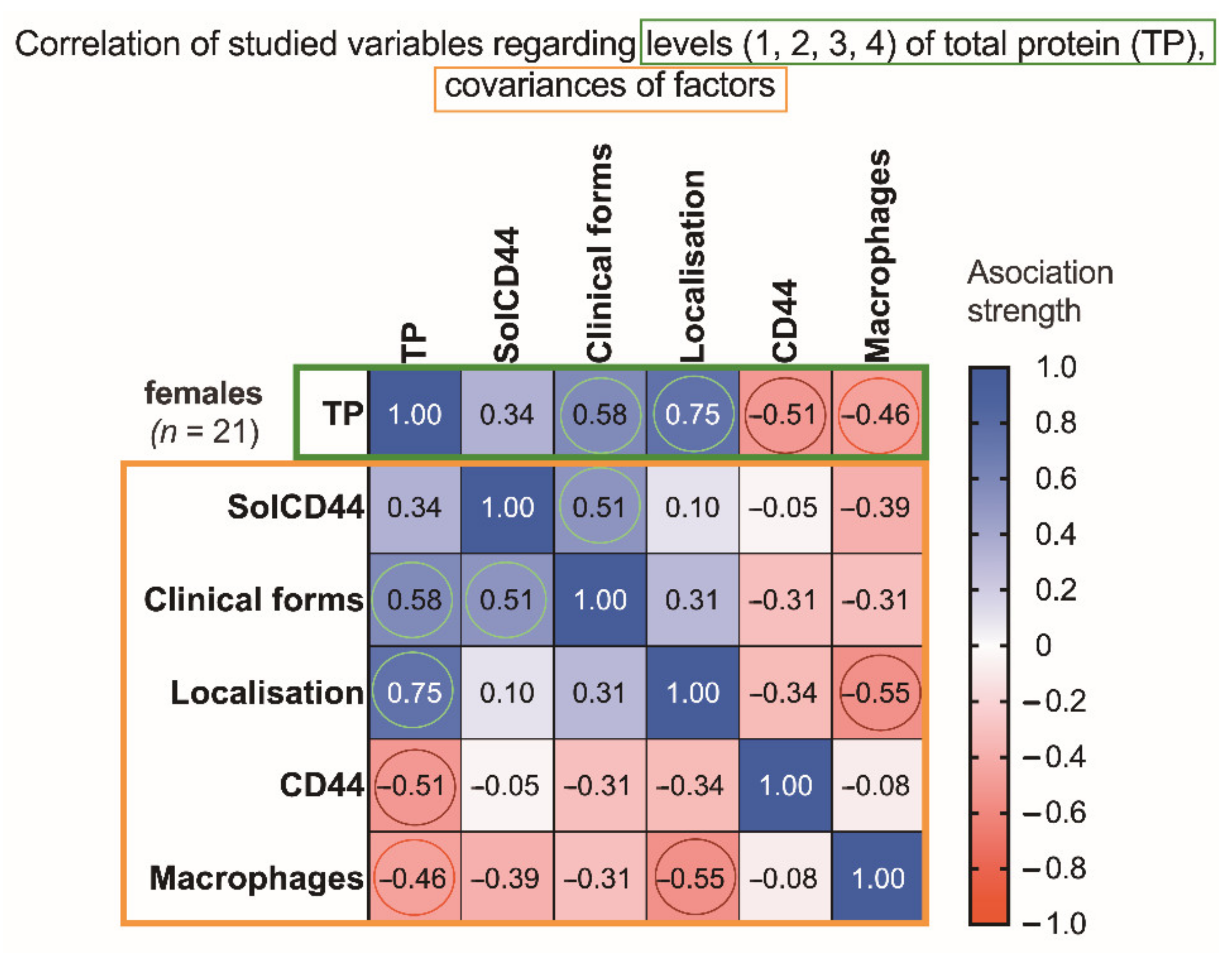 Cancers 13 05739 g002 550