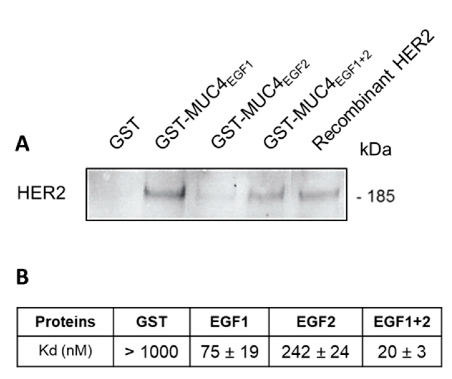Cancers 13 05746 g002 Cancers 13 05746 g002