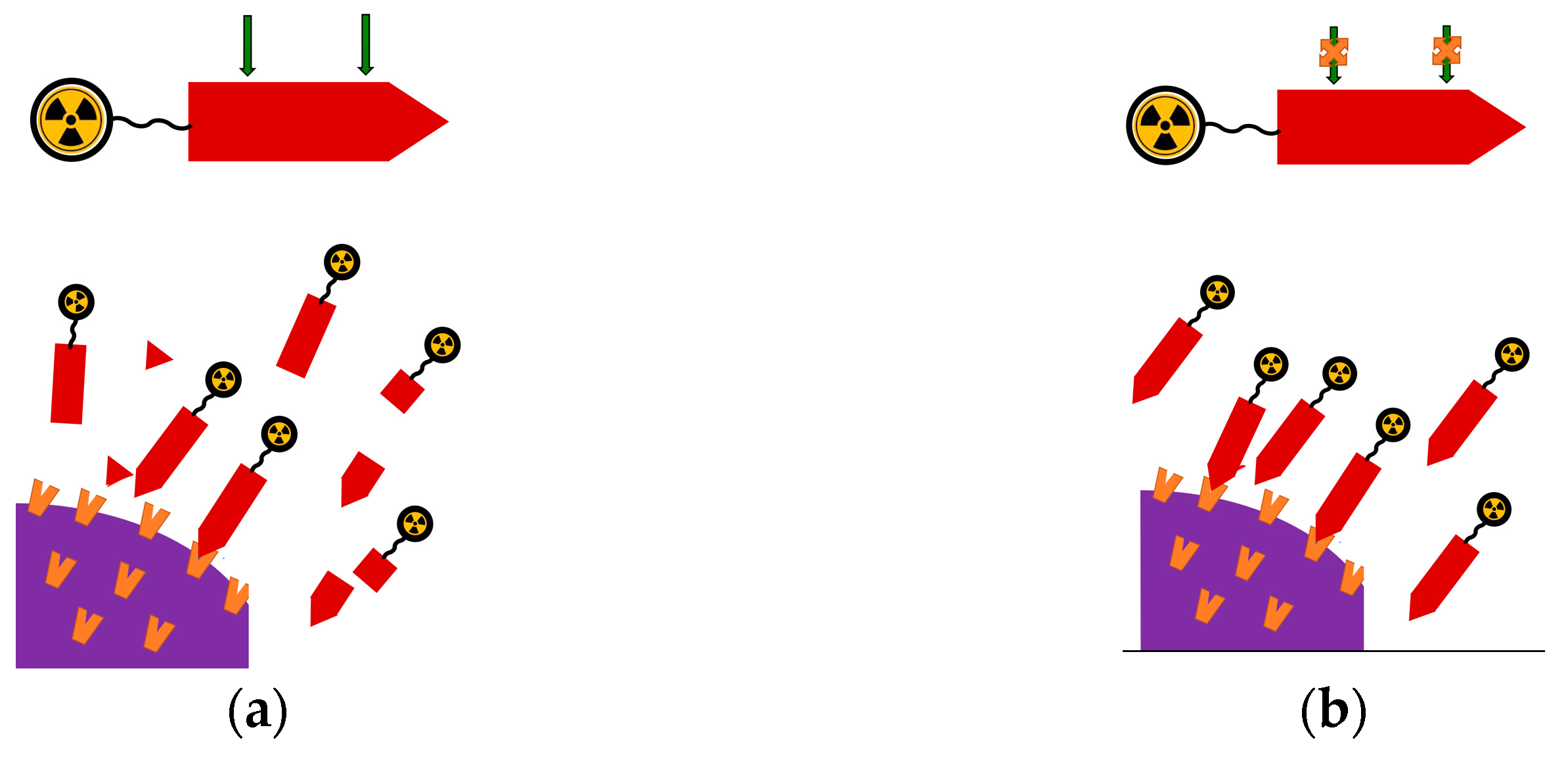 Cancers 13 05766 g005 550