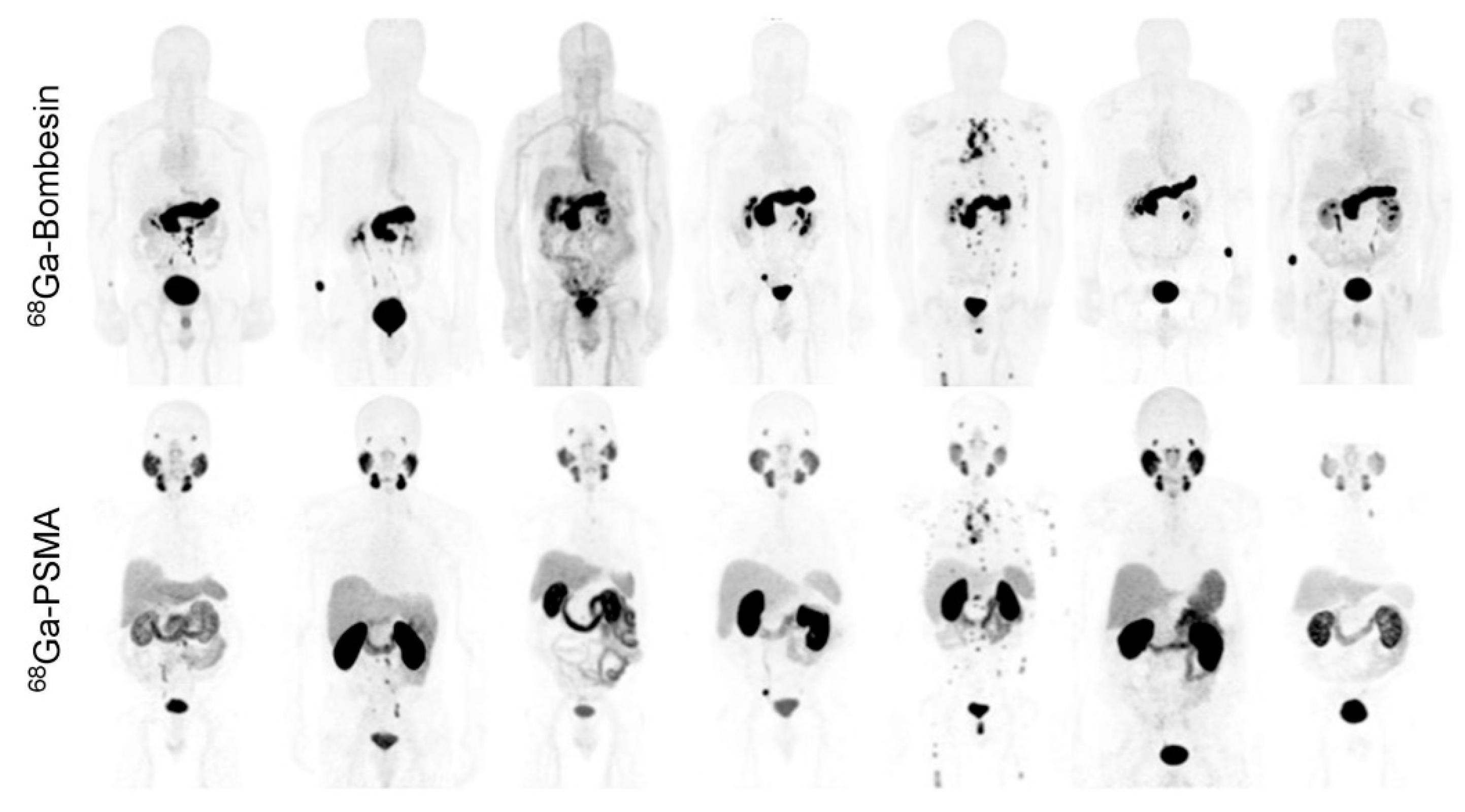 Cancers 13 05766 g007 550