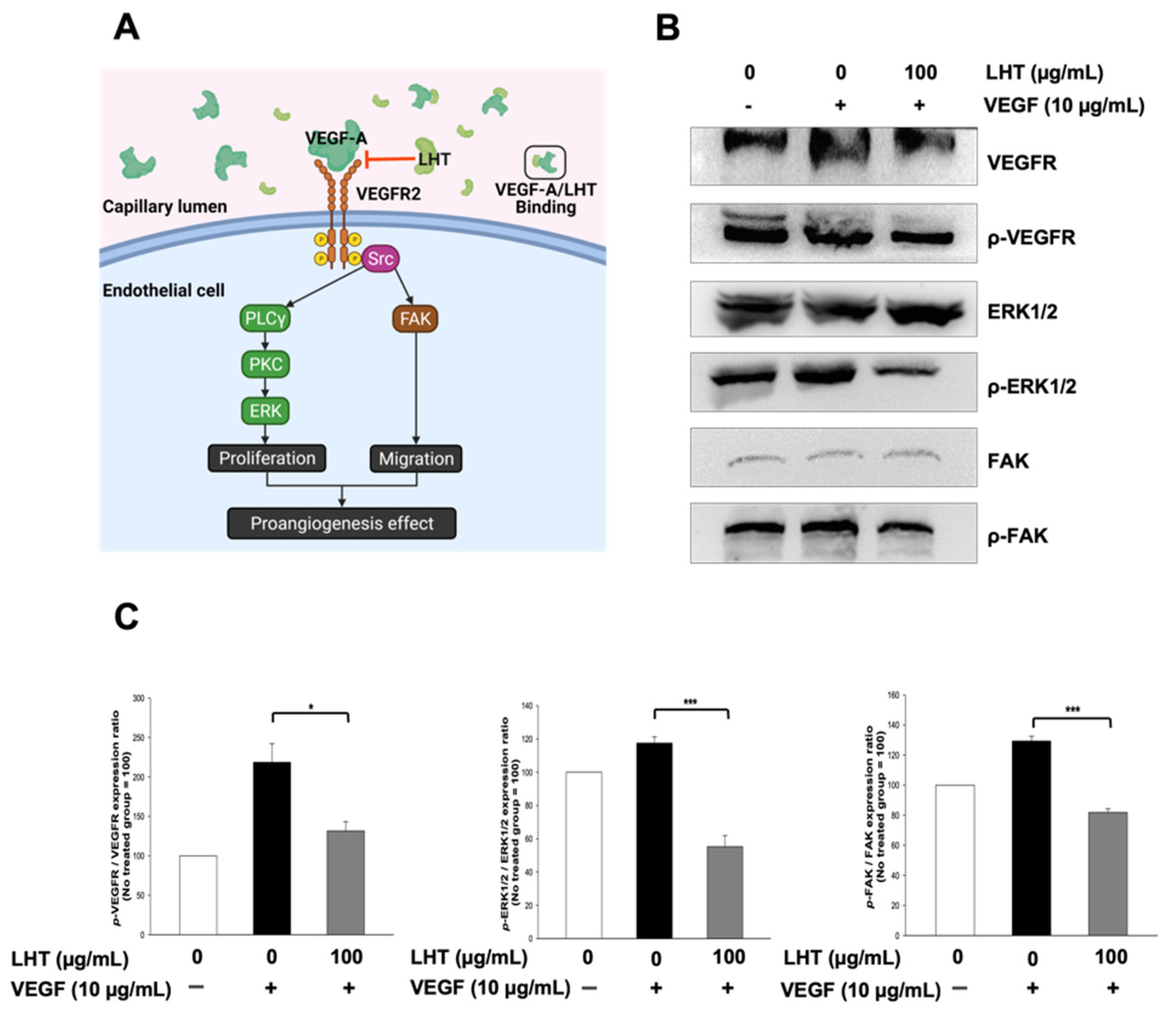 Cancers 13 05775 g006 Cancers 13 05775 g006