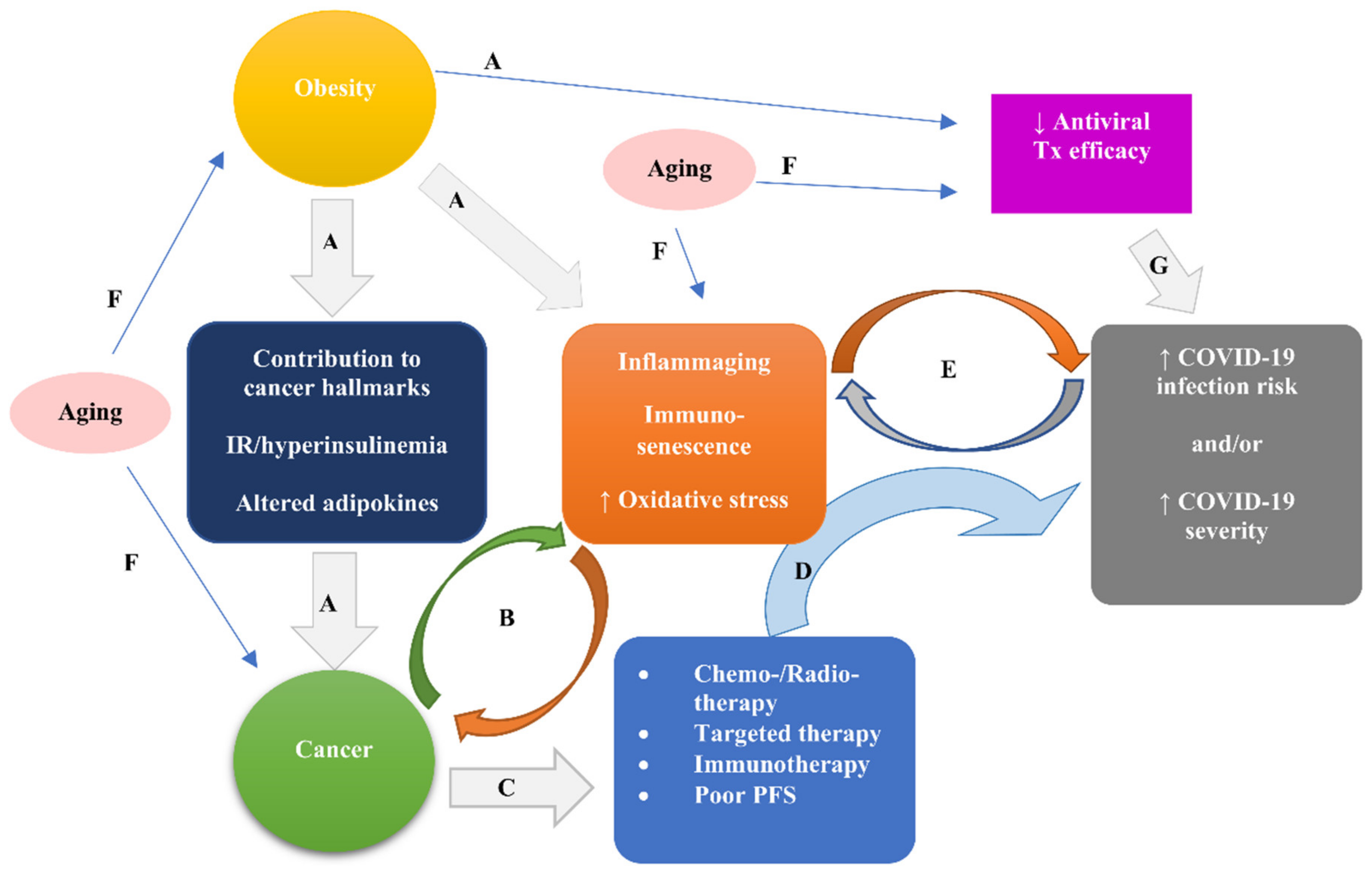 Cancers 13 05785 g002 Cancers 13 05785 g002
