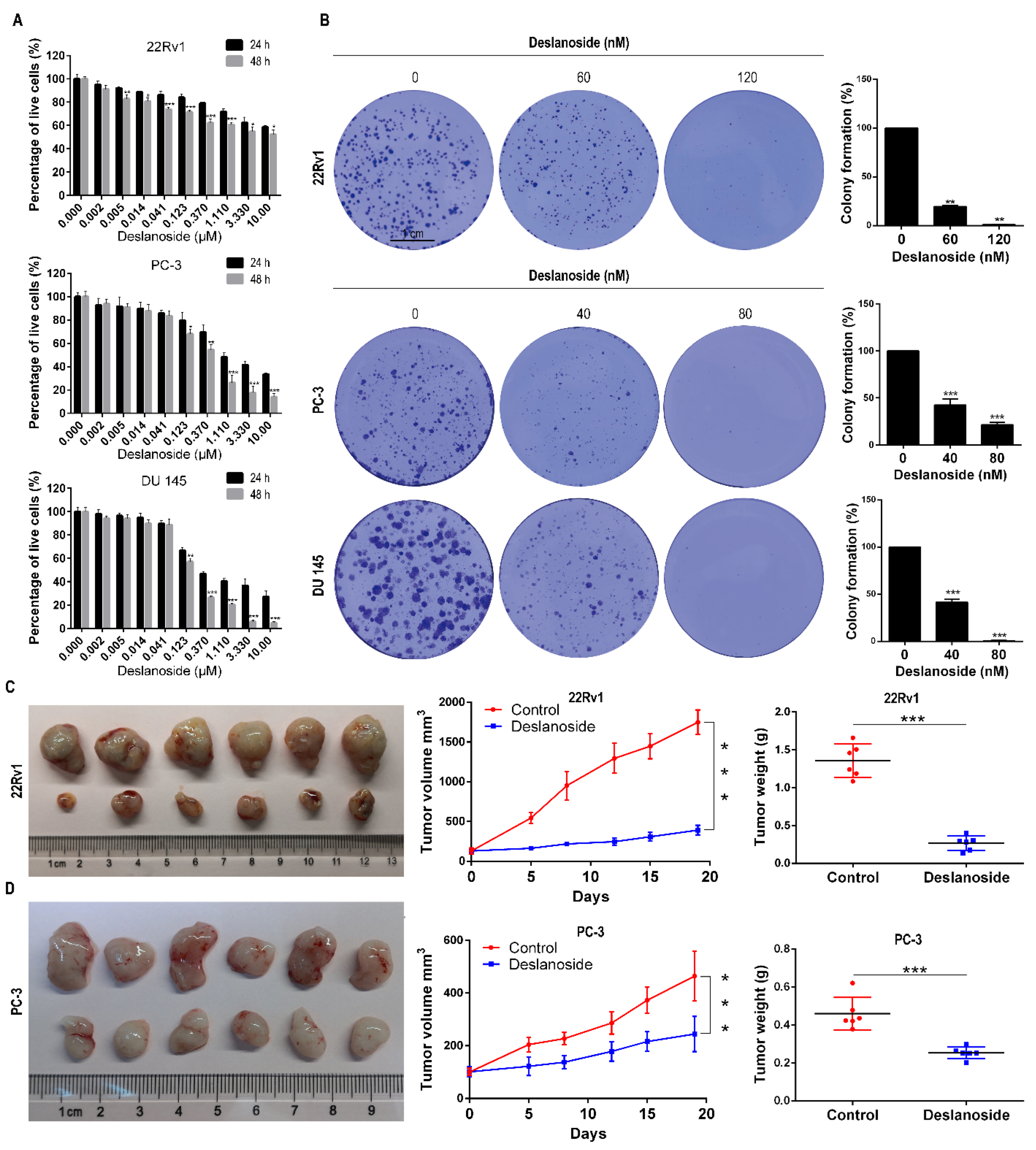 Cancers 13 05809 g001