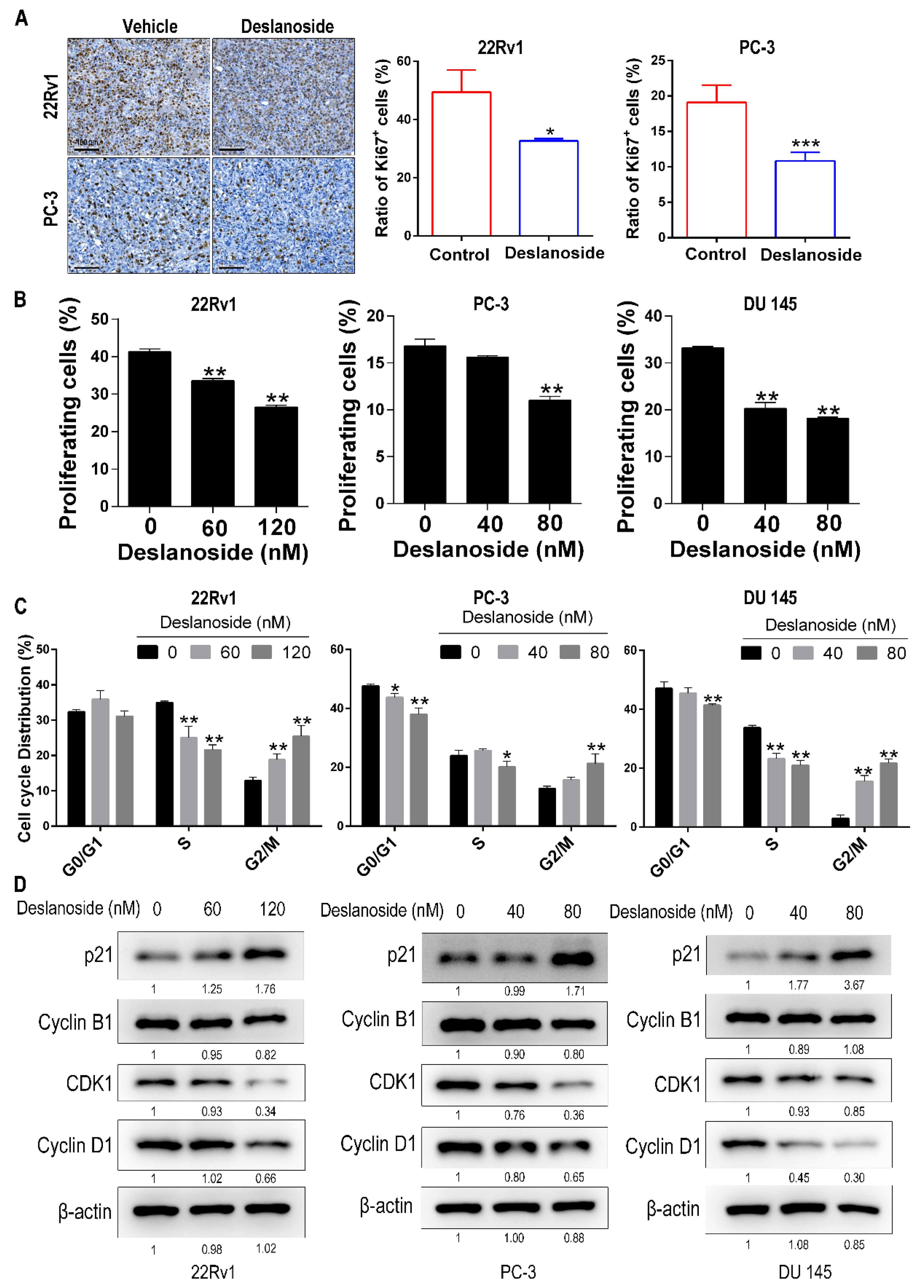 Cancers 13 05809 g002