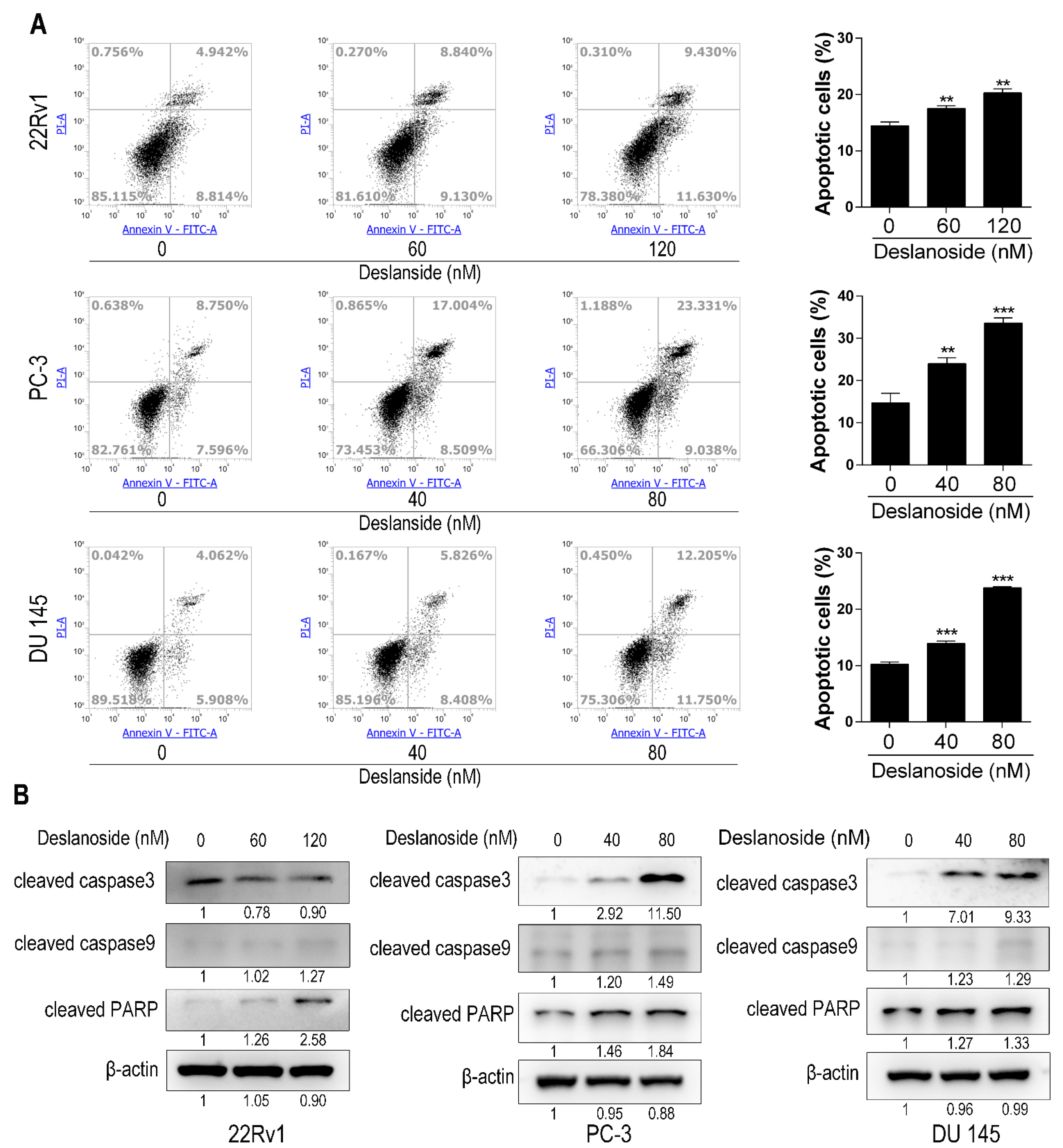 Cancers 13 05809 g003