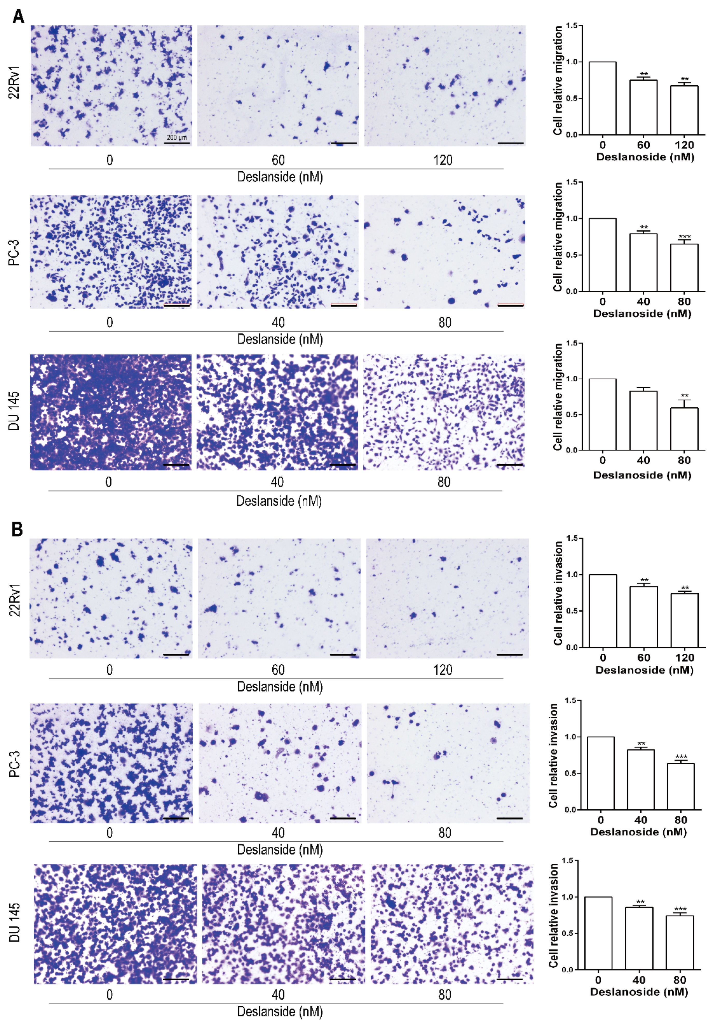 Cancers 13 05809 g004