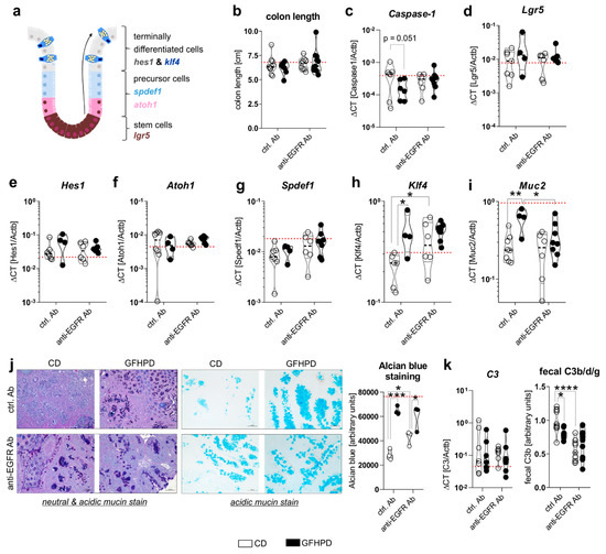 Cancers Free FullText Colorectal Cancer Progression Is Potently