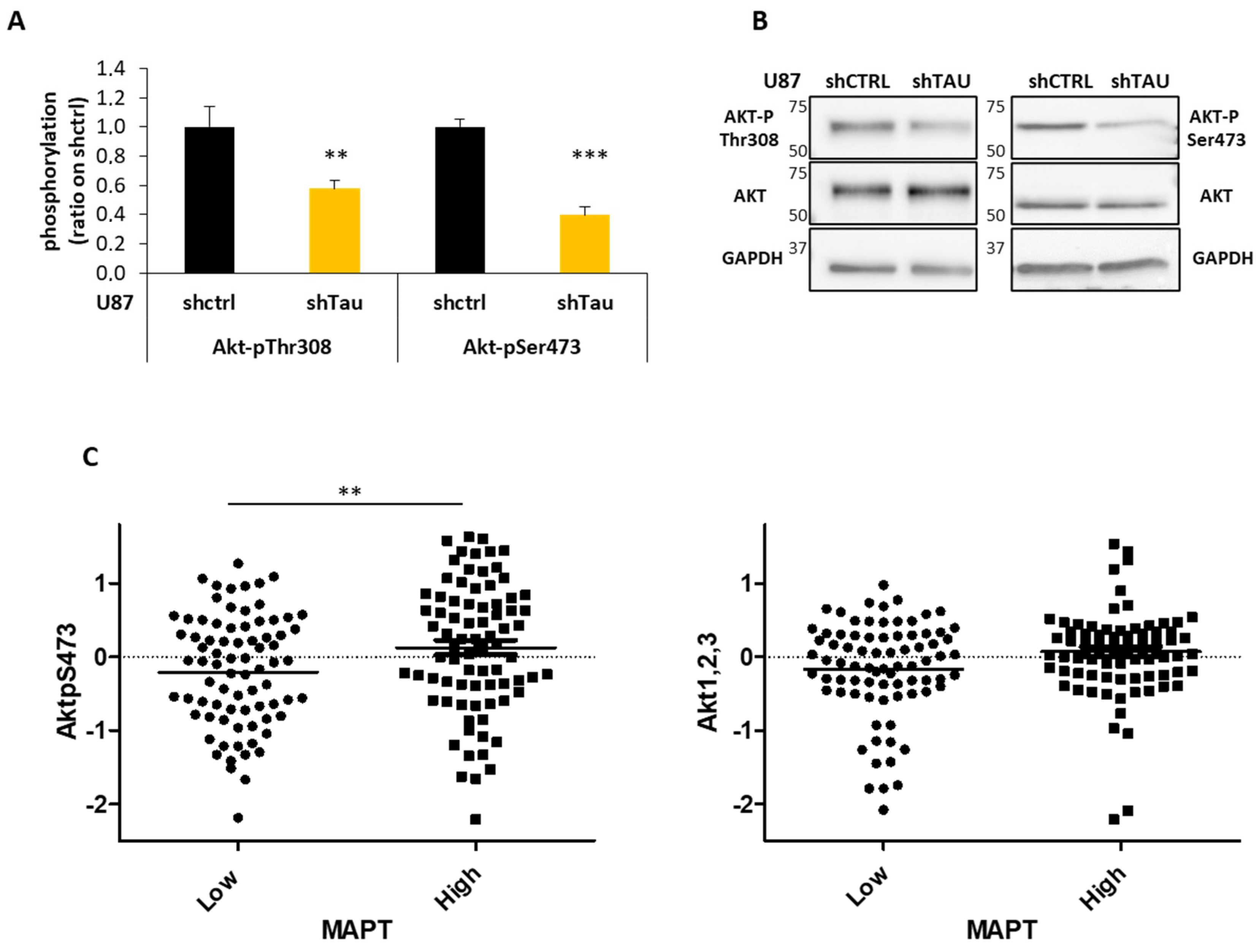 Cancers 13 05818 g006 550
