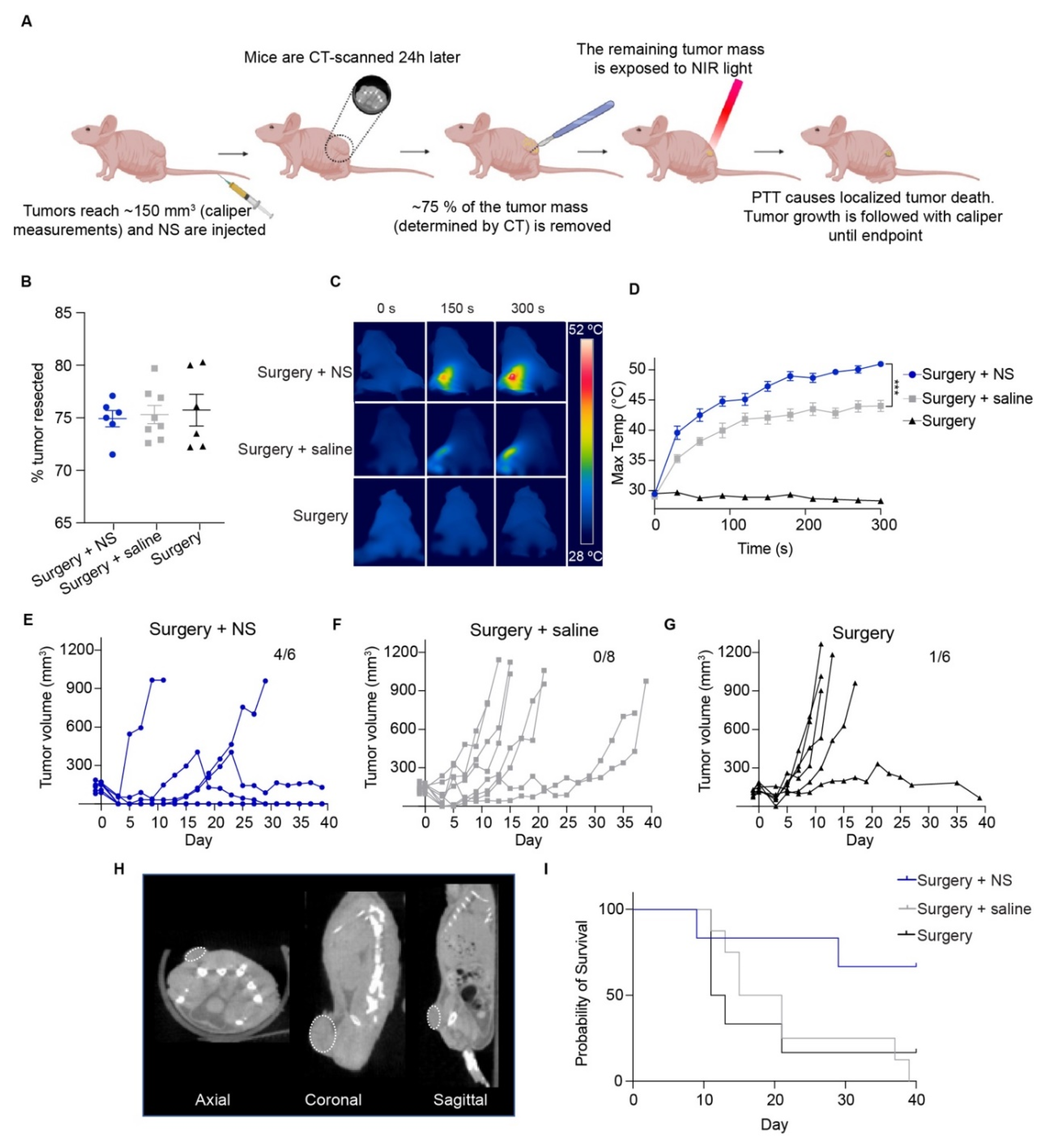 Cancers 13 05820 g001