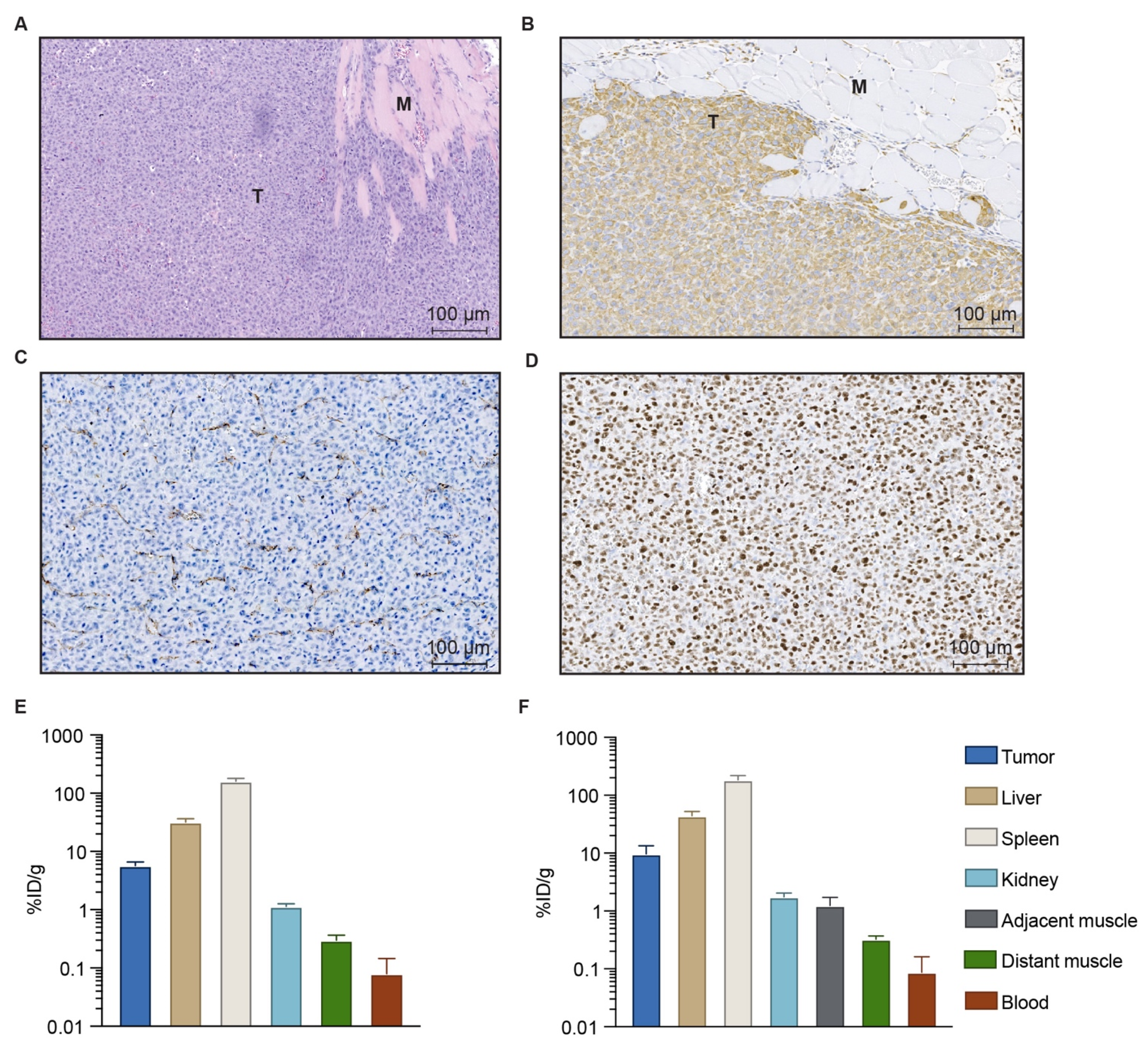Cancers 13 05820 g002