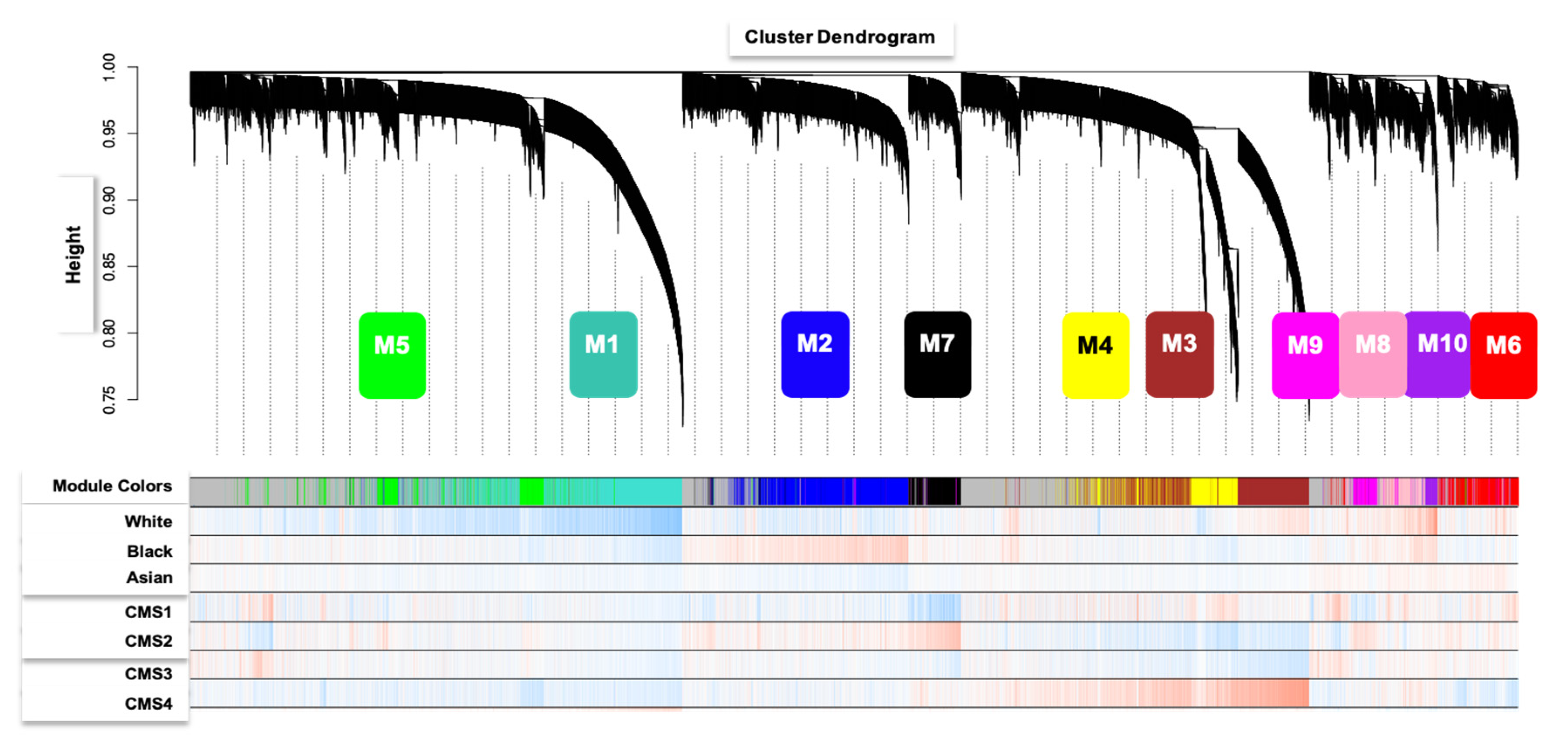 Cancers 13 05824 g001 550