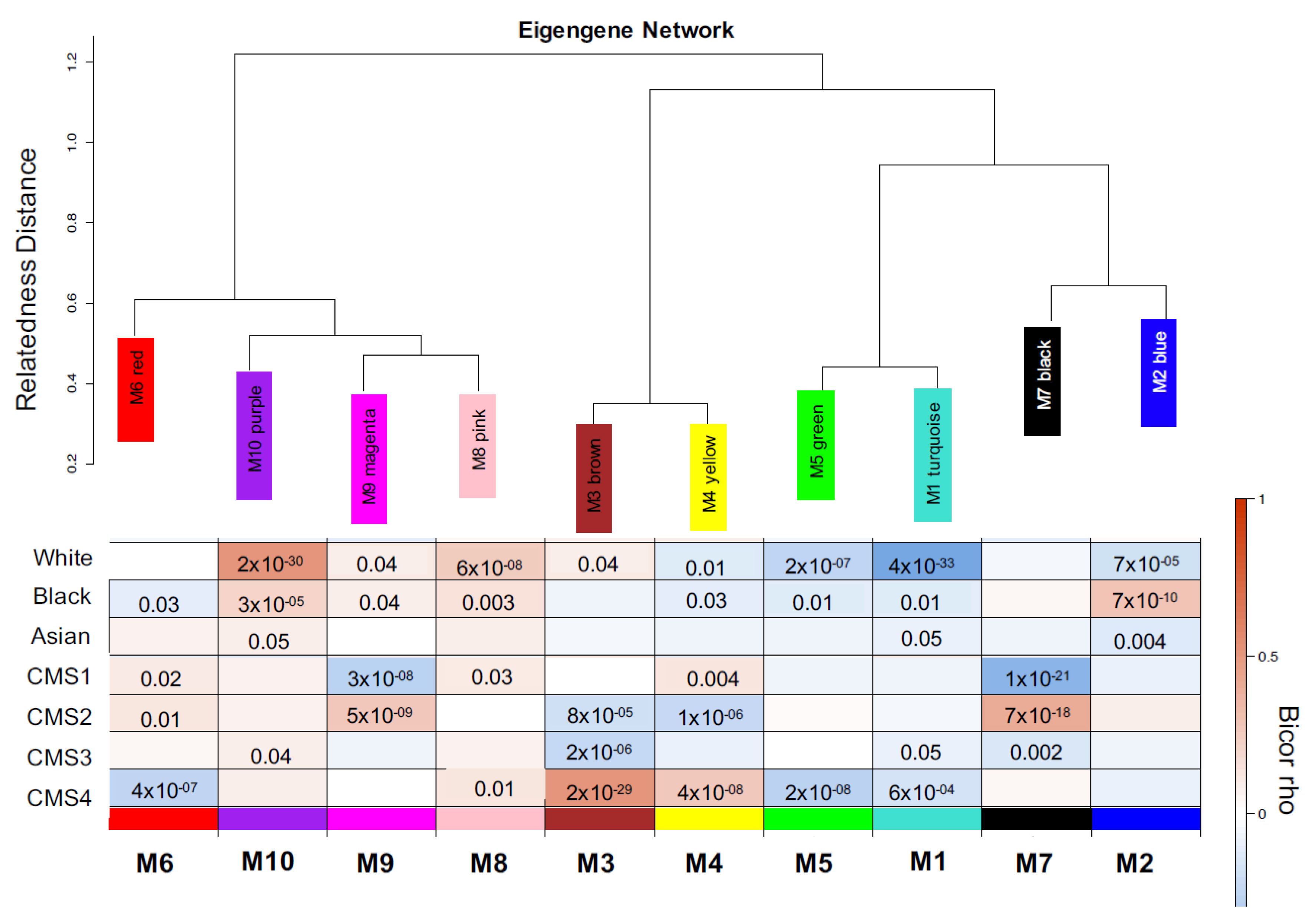 Cancers 13 05824 g002 550