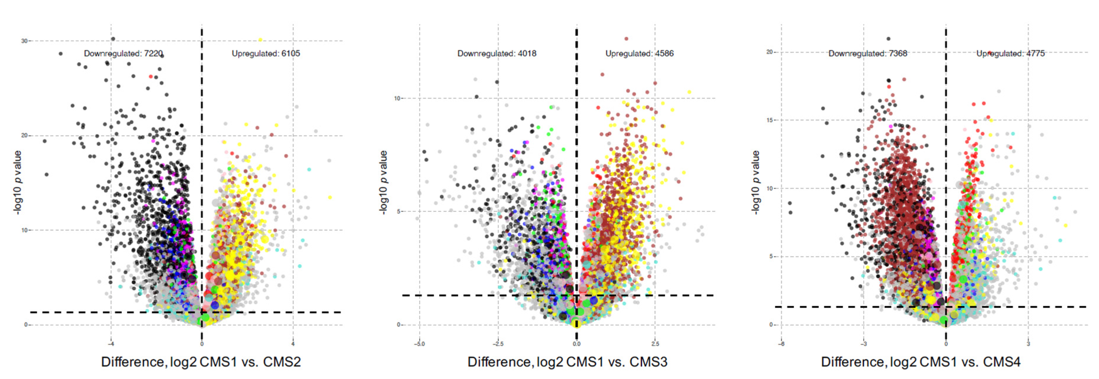 Cancers 13 05824 g003 550