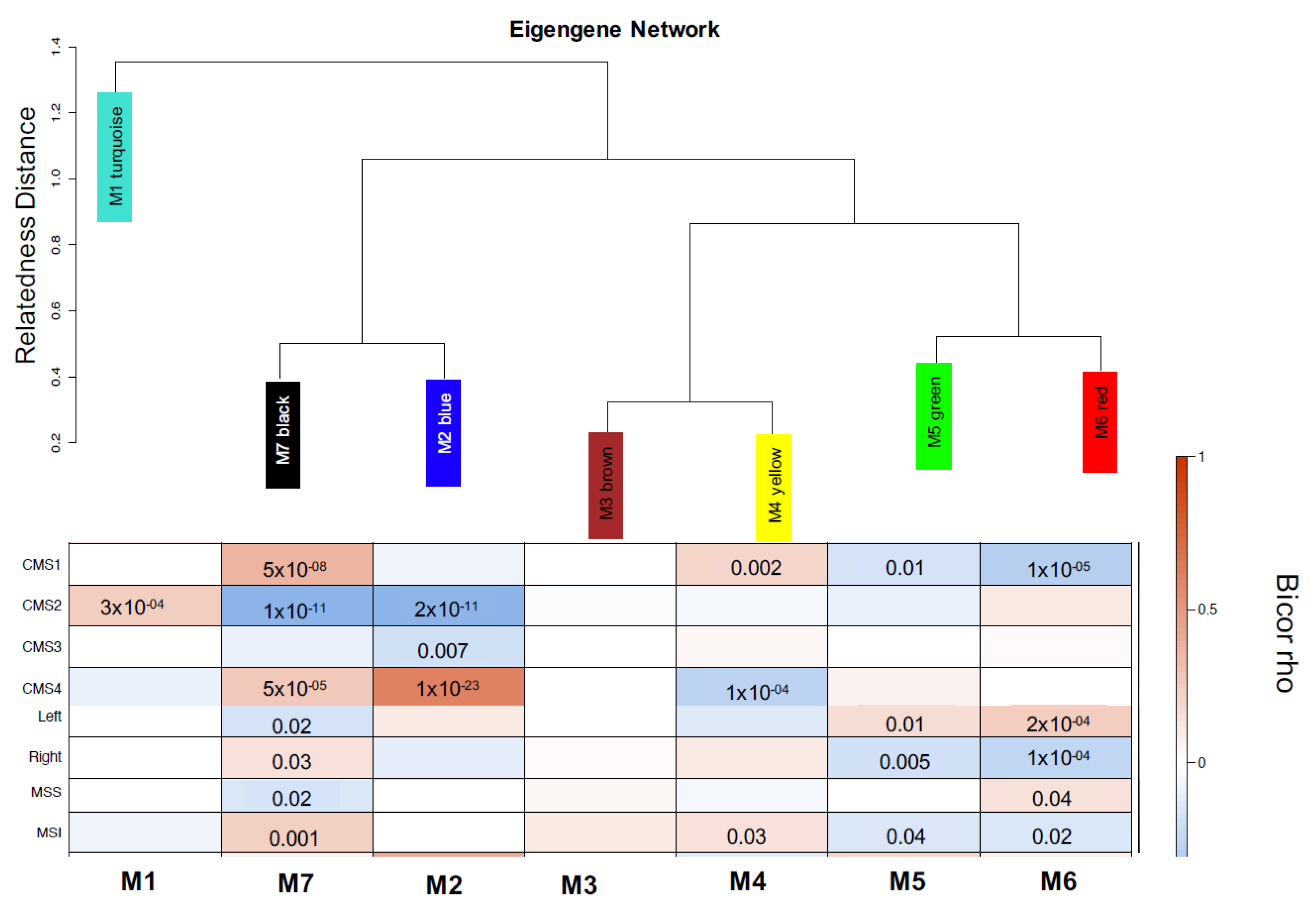 Cancers 13 05824 g004 550