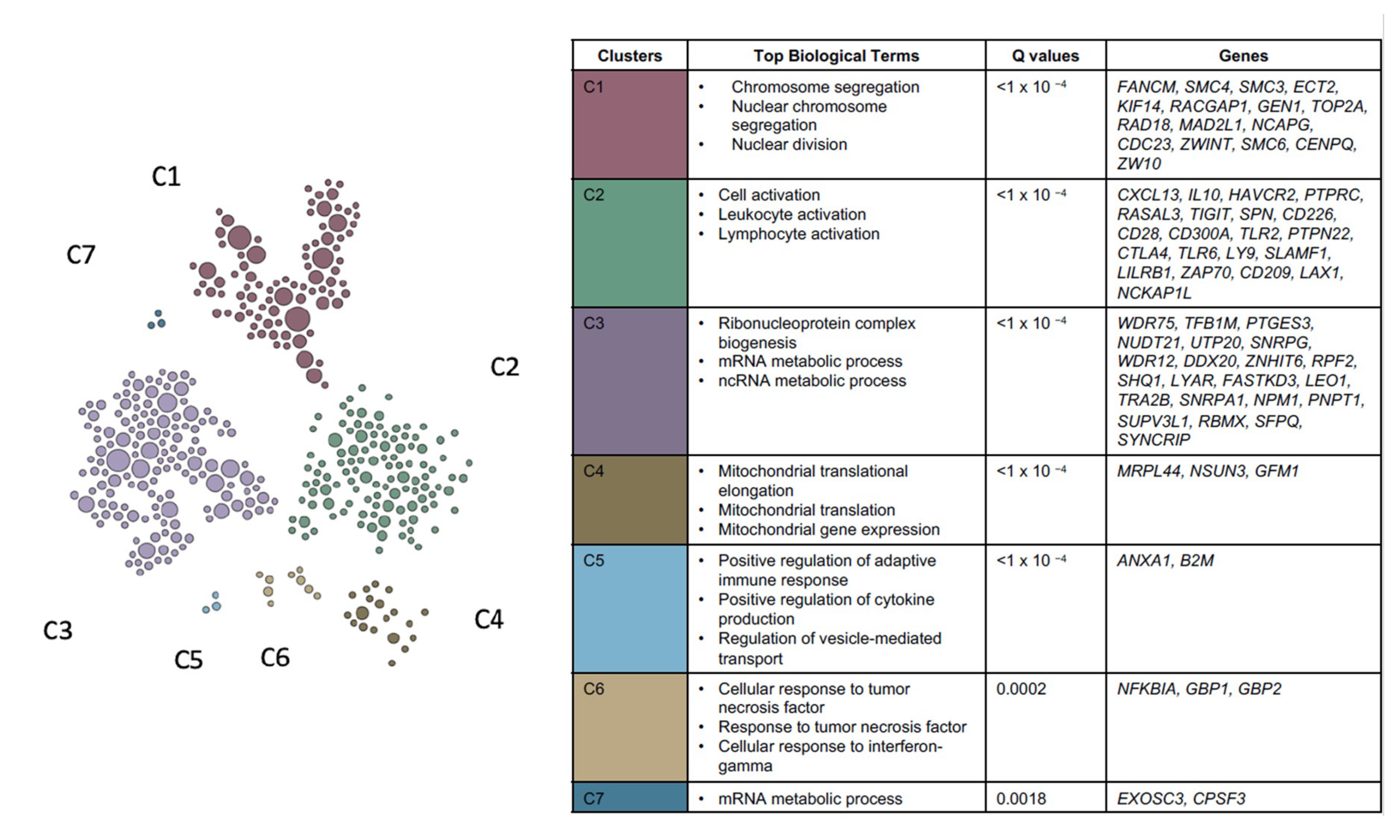 Cancers 13 05824 g006 550