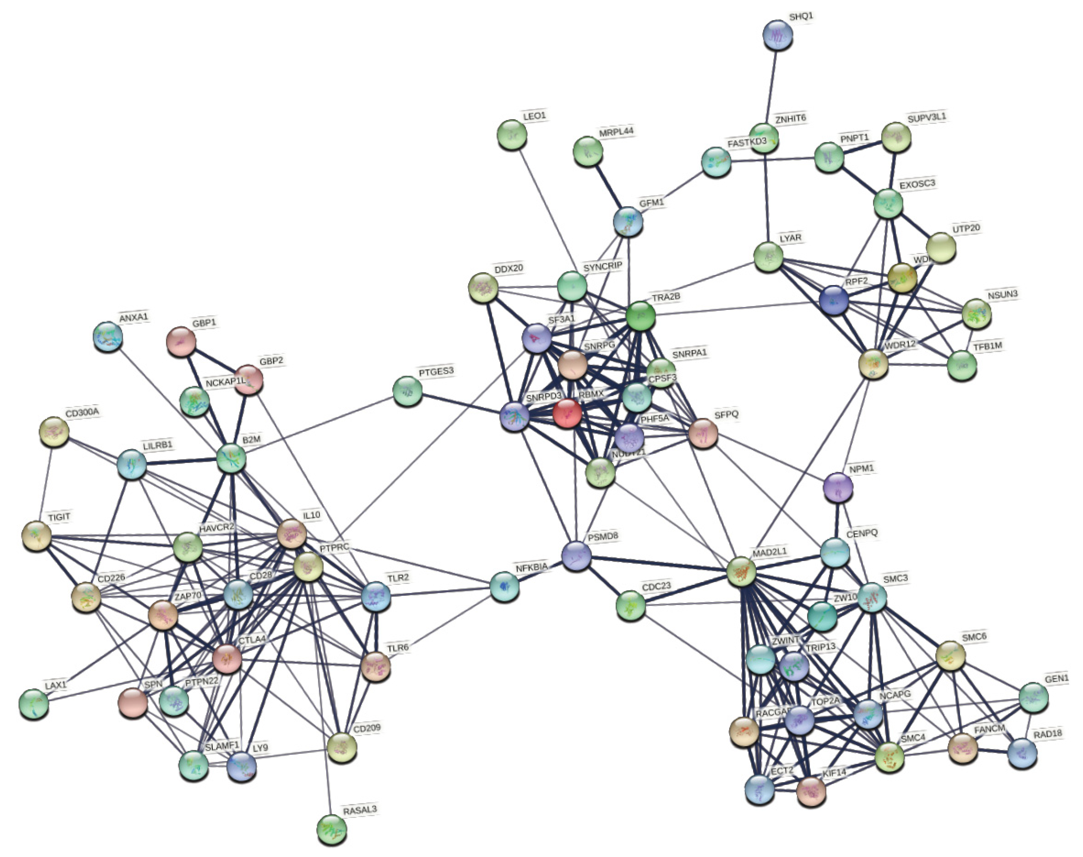 Cancers 13 05824 g008 550