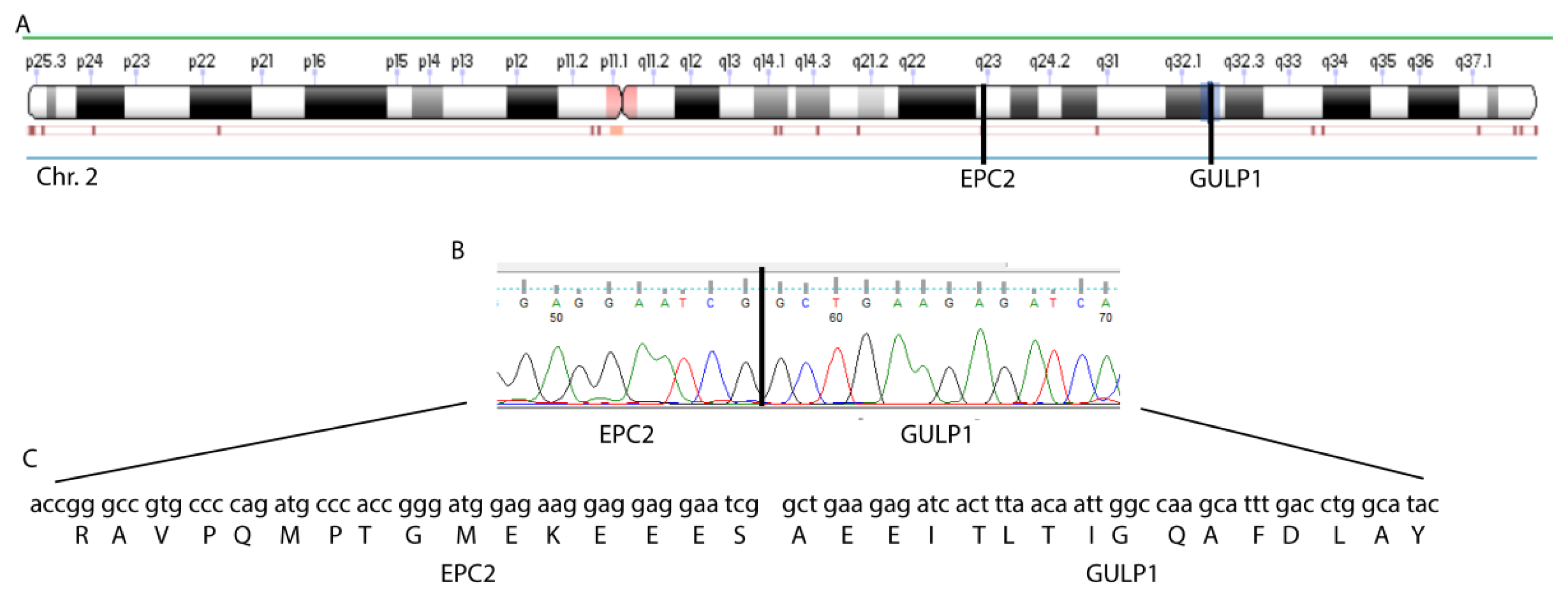 Cancers 13 05838 g001