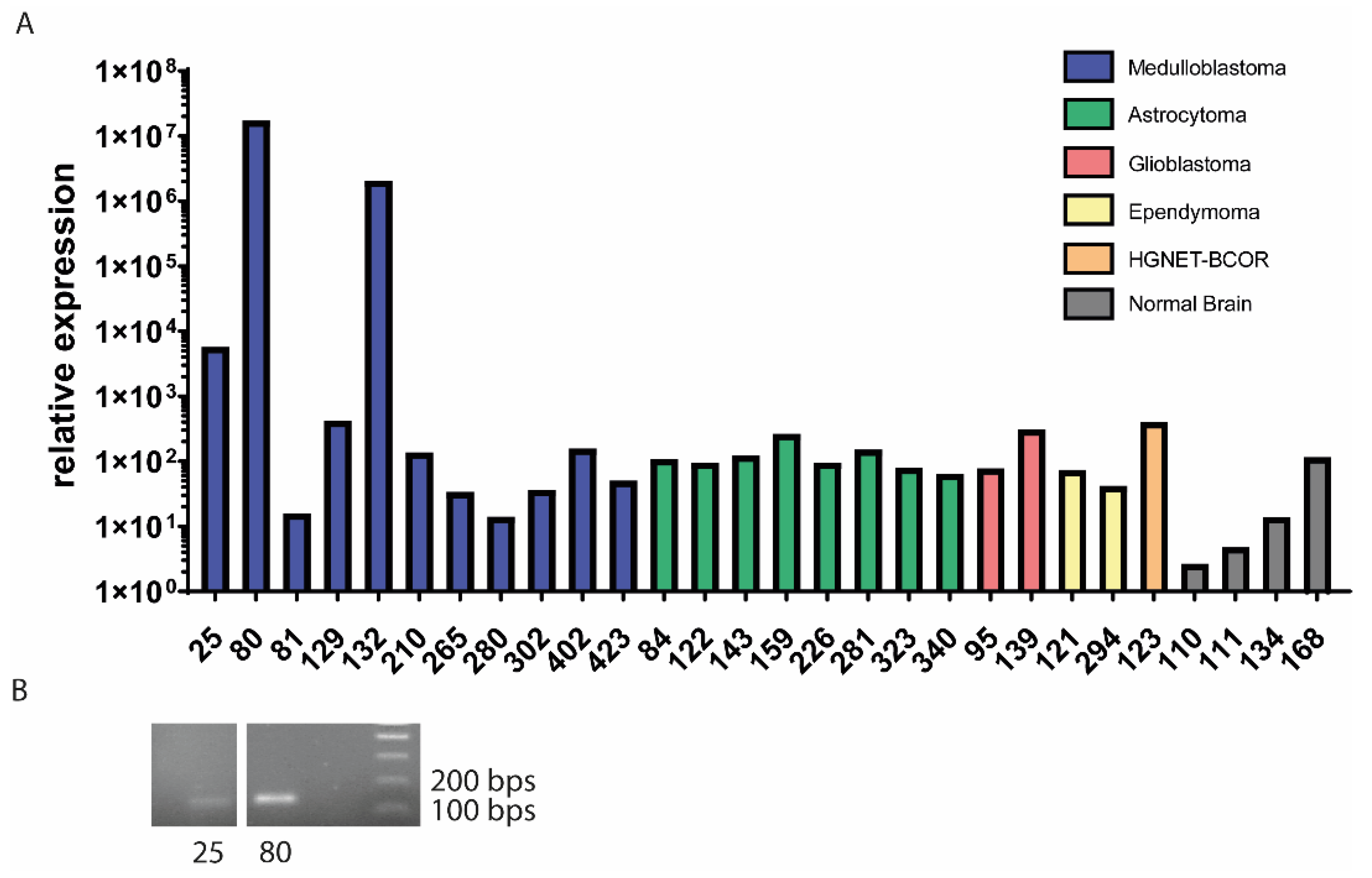 Cancers 13 05838 g002
