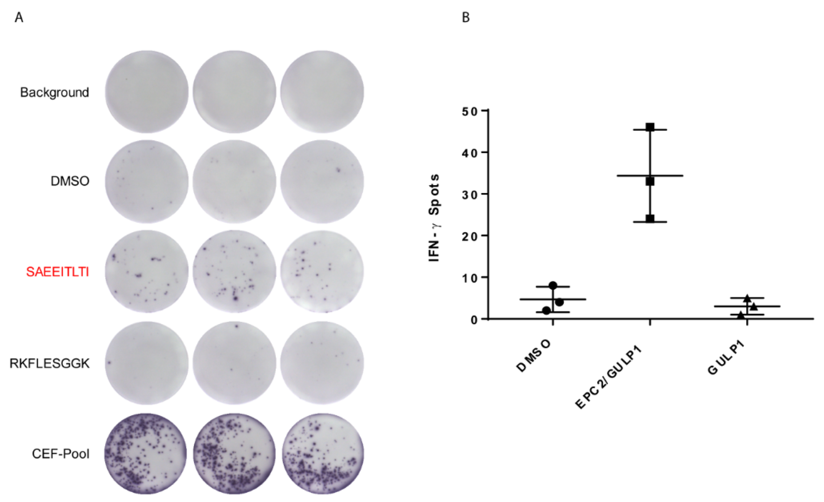 Cancers 13 05838 g004