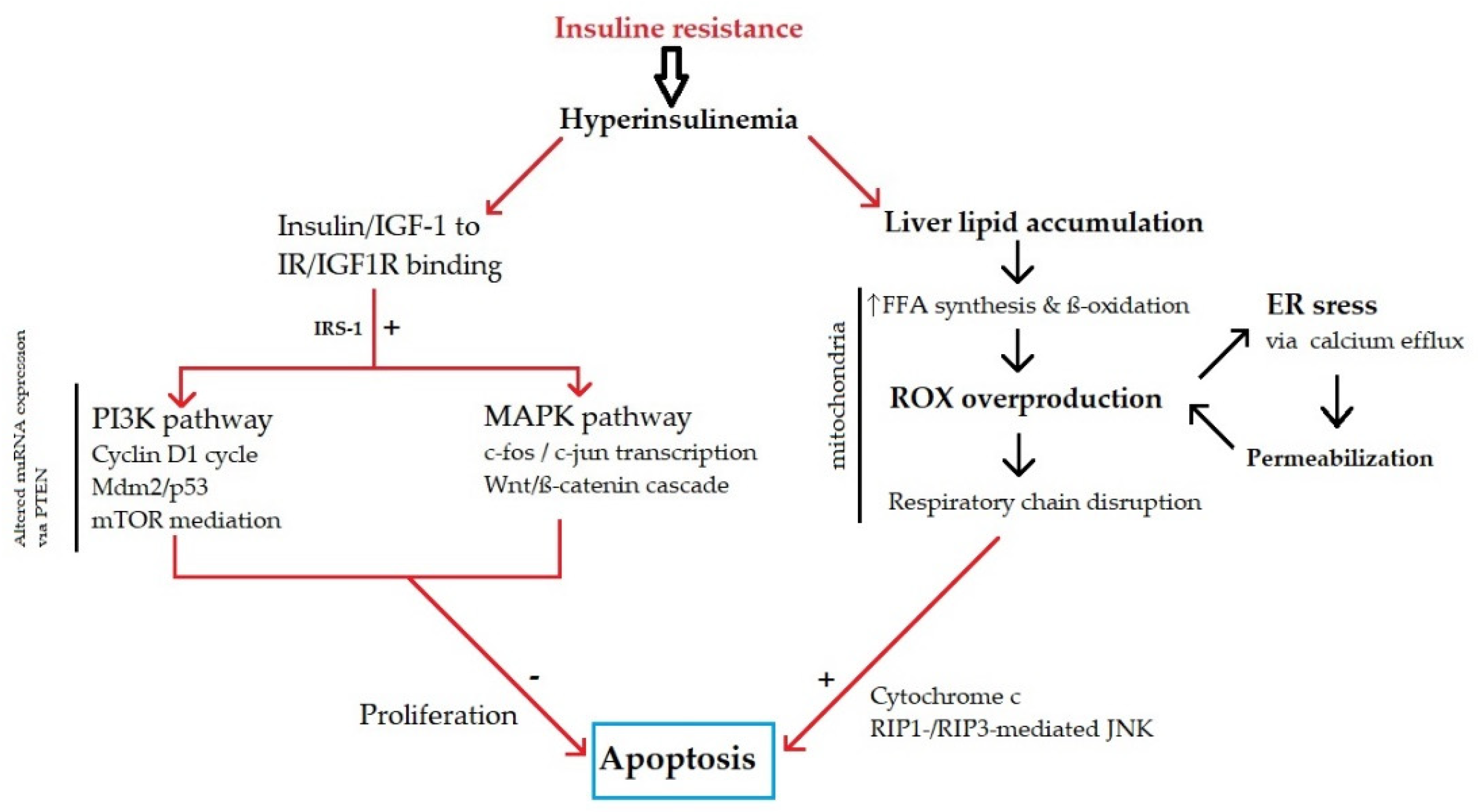 Cancers 13 05844 g001 550
