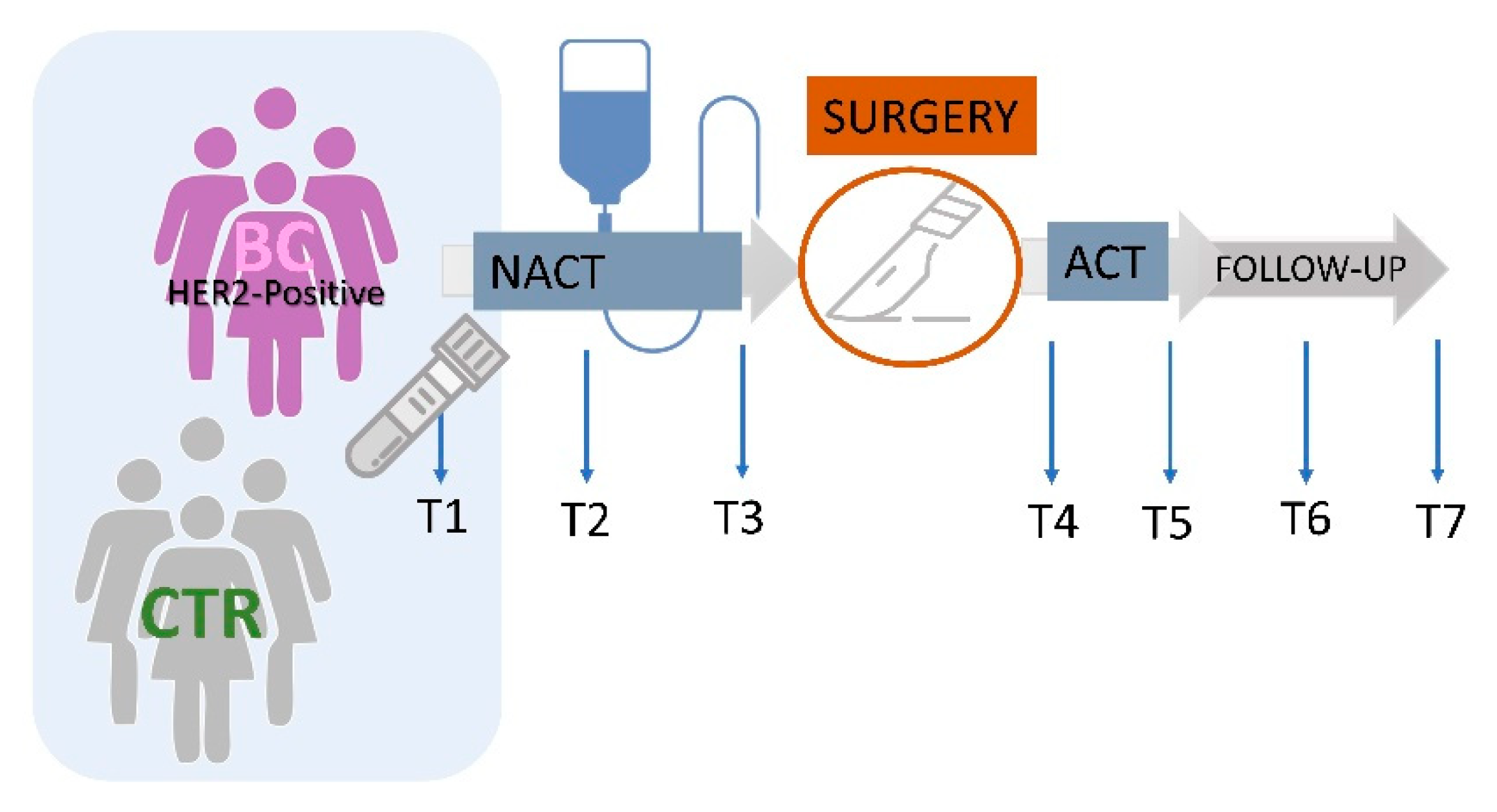 Cancers 13 05845 g001 Cancers 13 05845 g001