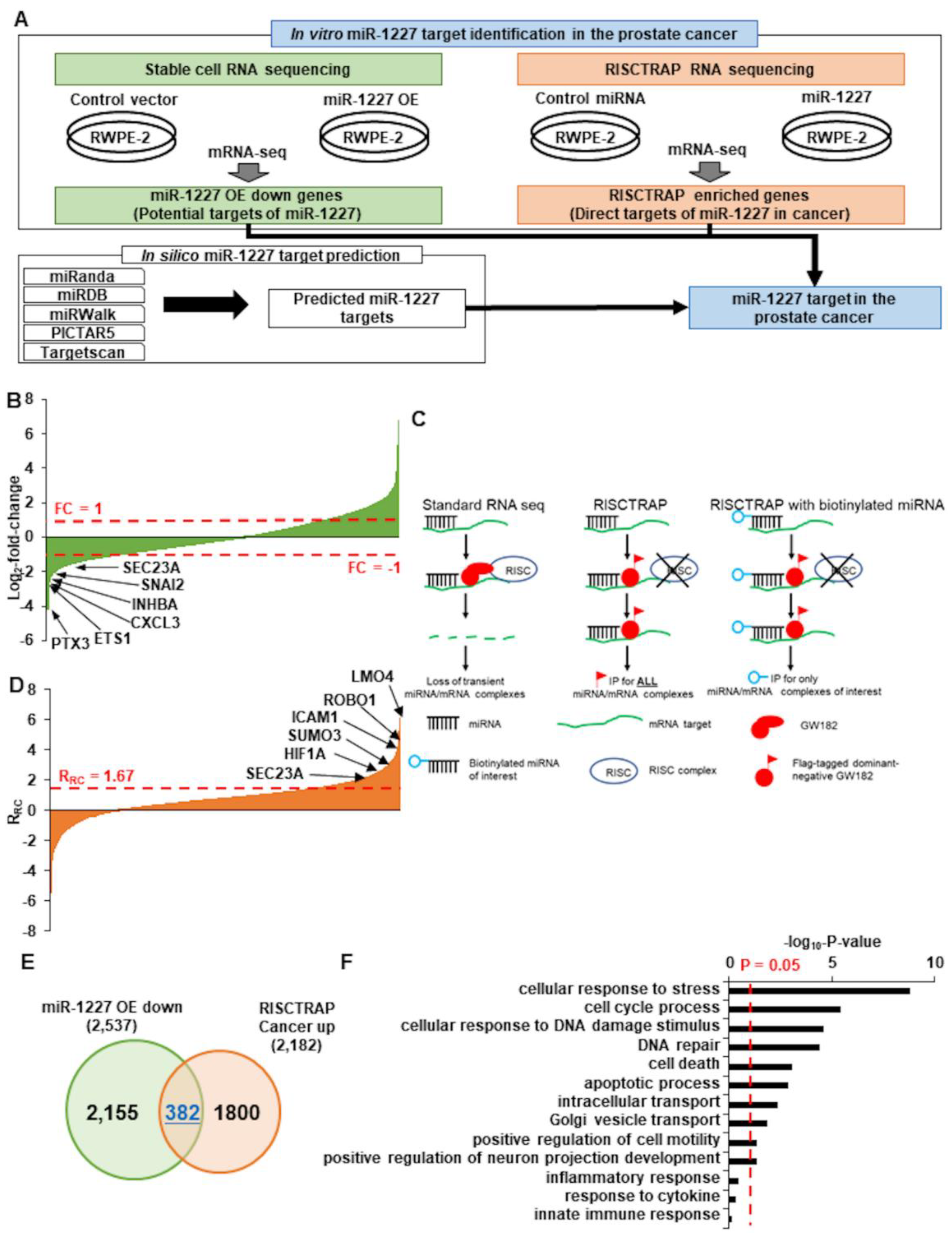 Cancers 13 05850 g002 Cancers 13 05850 g002