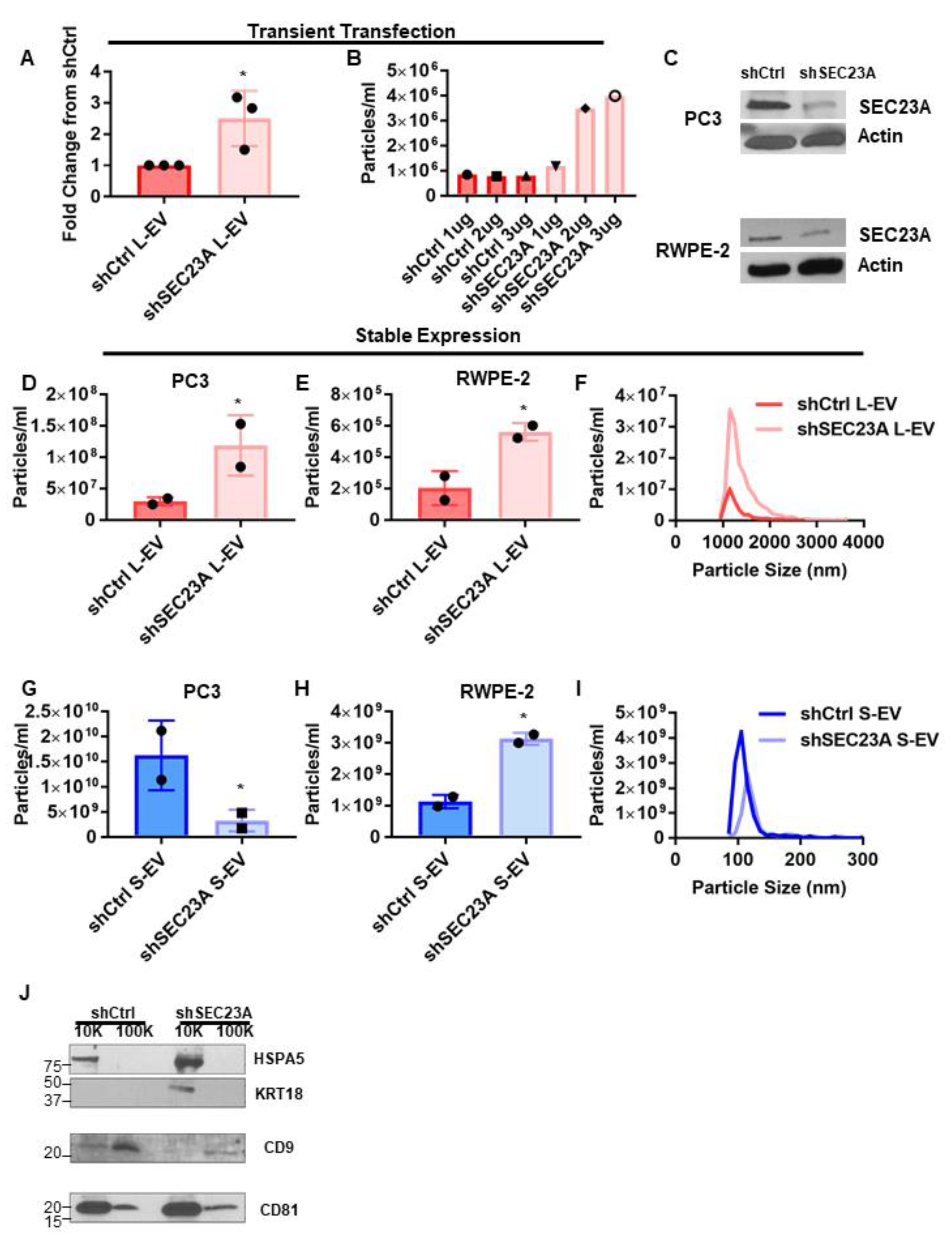 Cancers 13 05850 g004 Cancers 13 05850 g004