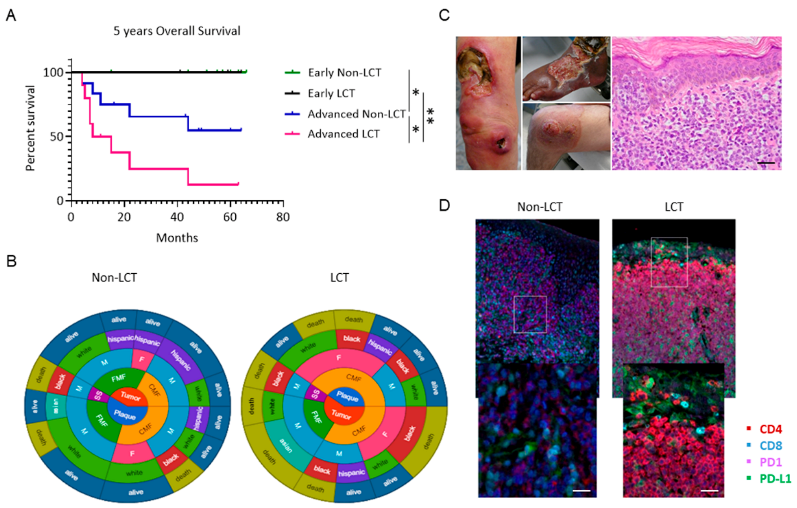 Cancers 13 05854 g001