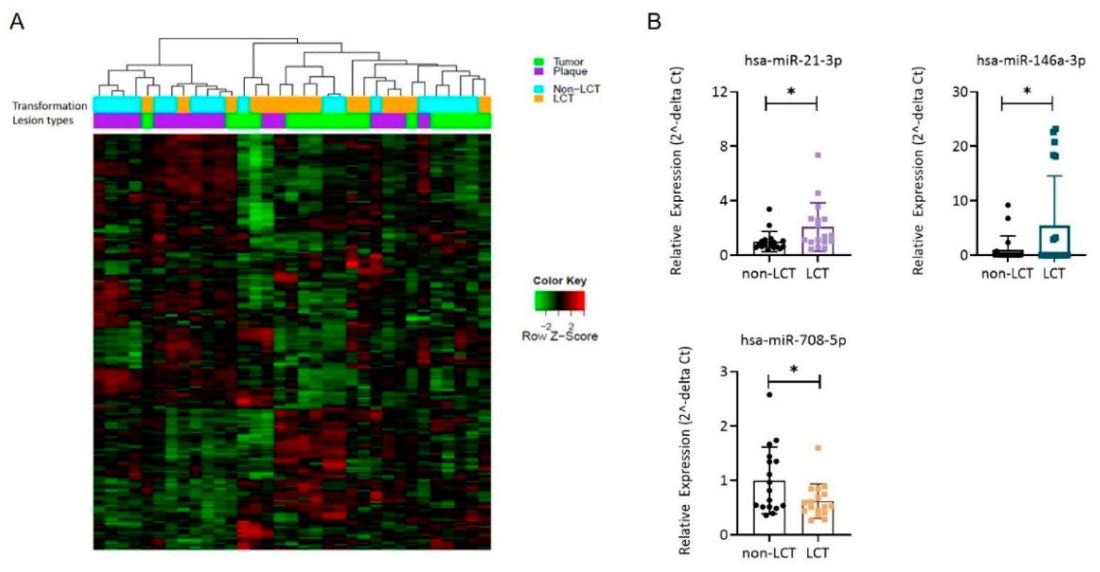 Cancers 13 05854 g002