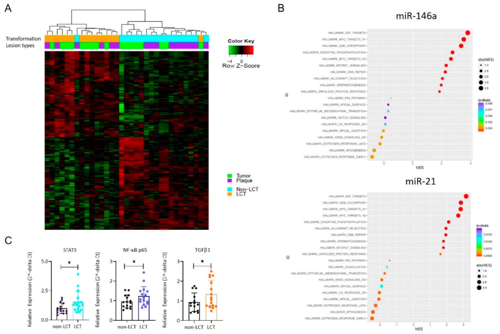 Cancers 13 05854 g003