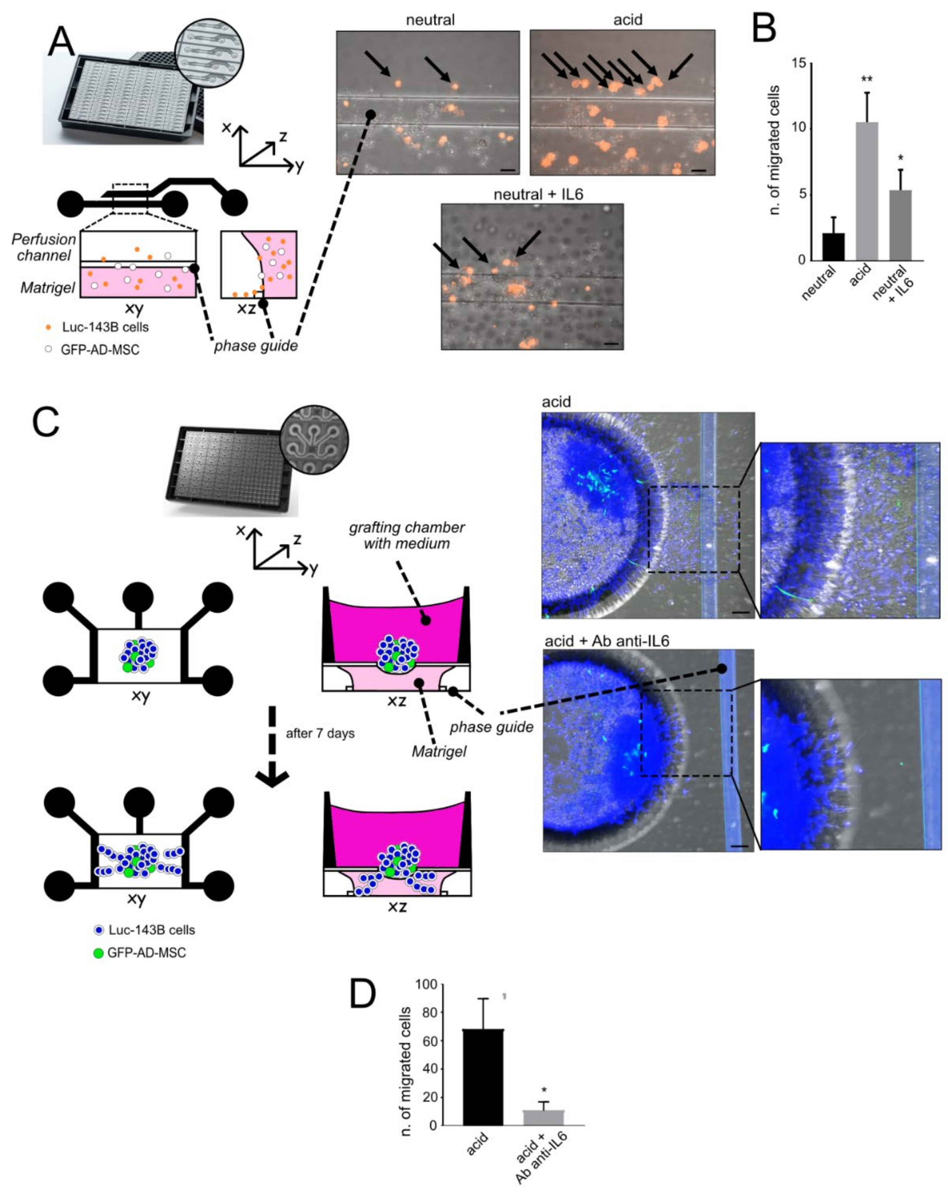Cancers 13 05855 g005 Cancers 13 05855 g005