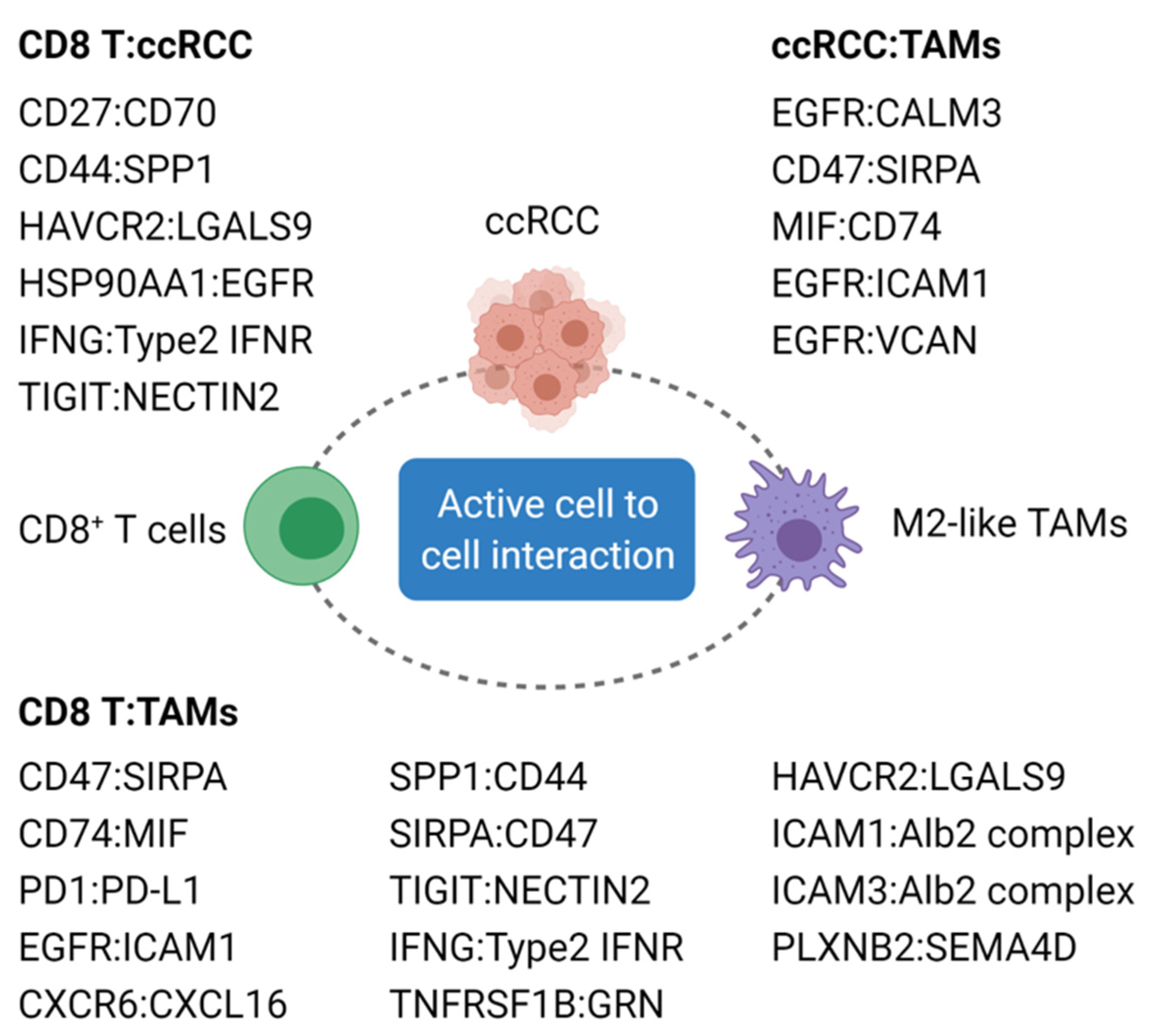 Cancers 13 05856 g002