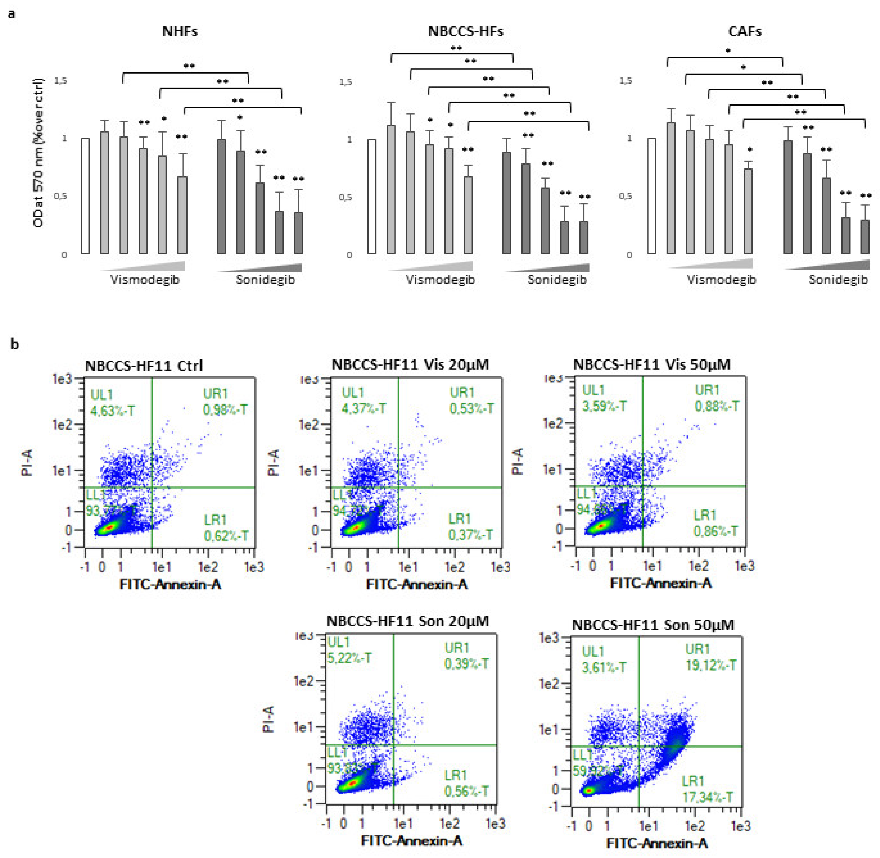 Cancers 13 05858 g001