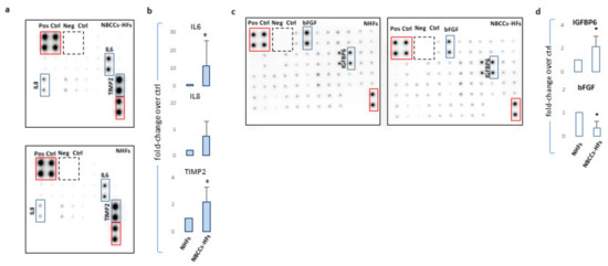 Evaluation of Hedgehog Pathway Inhibition on Nevoid Basal