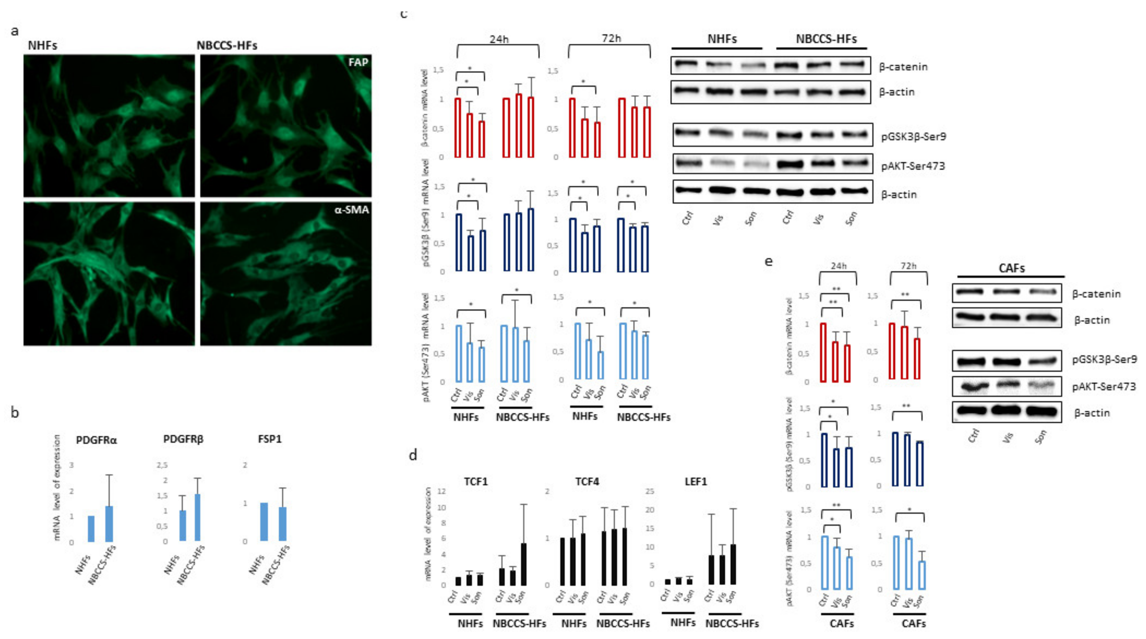 Cancers 13 05858 g007