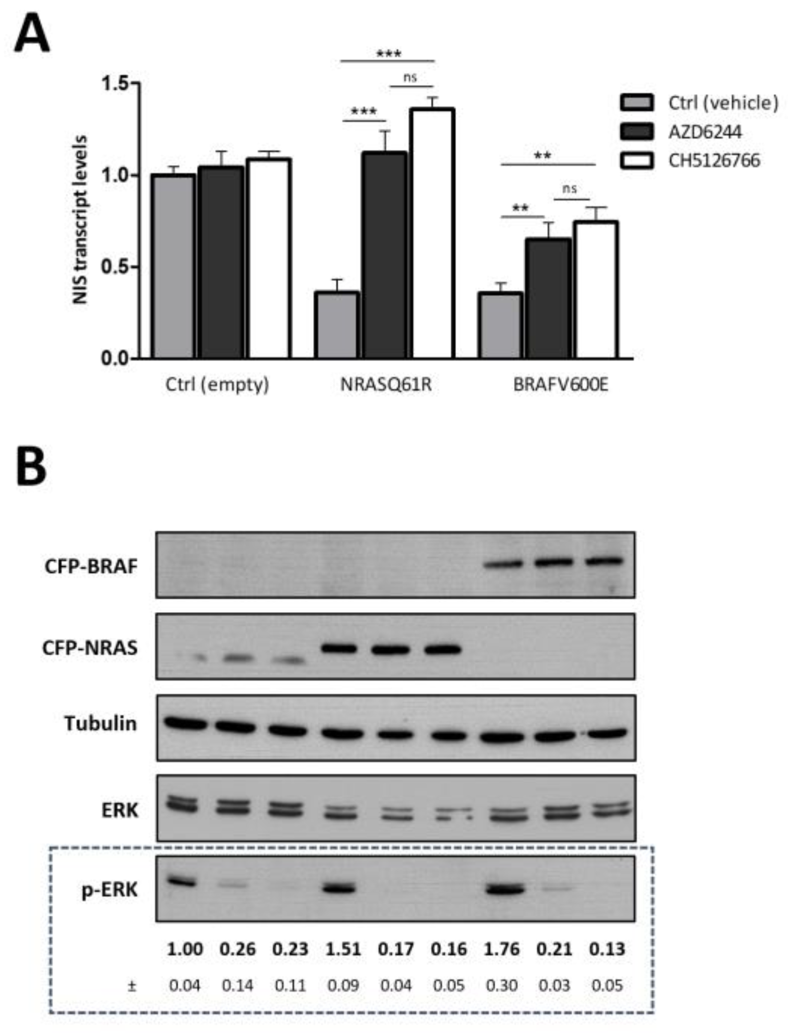Cancers 13 05861 g002 550