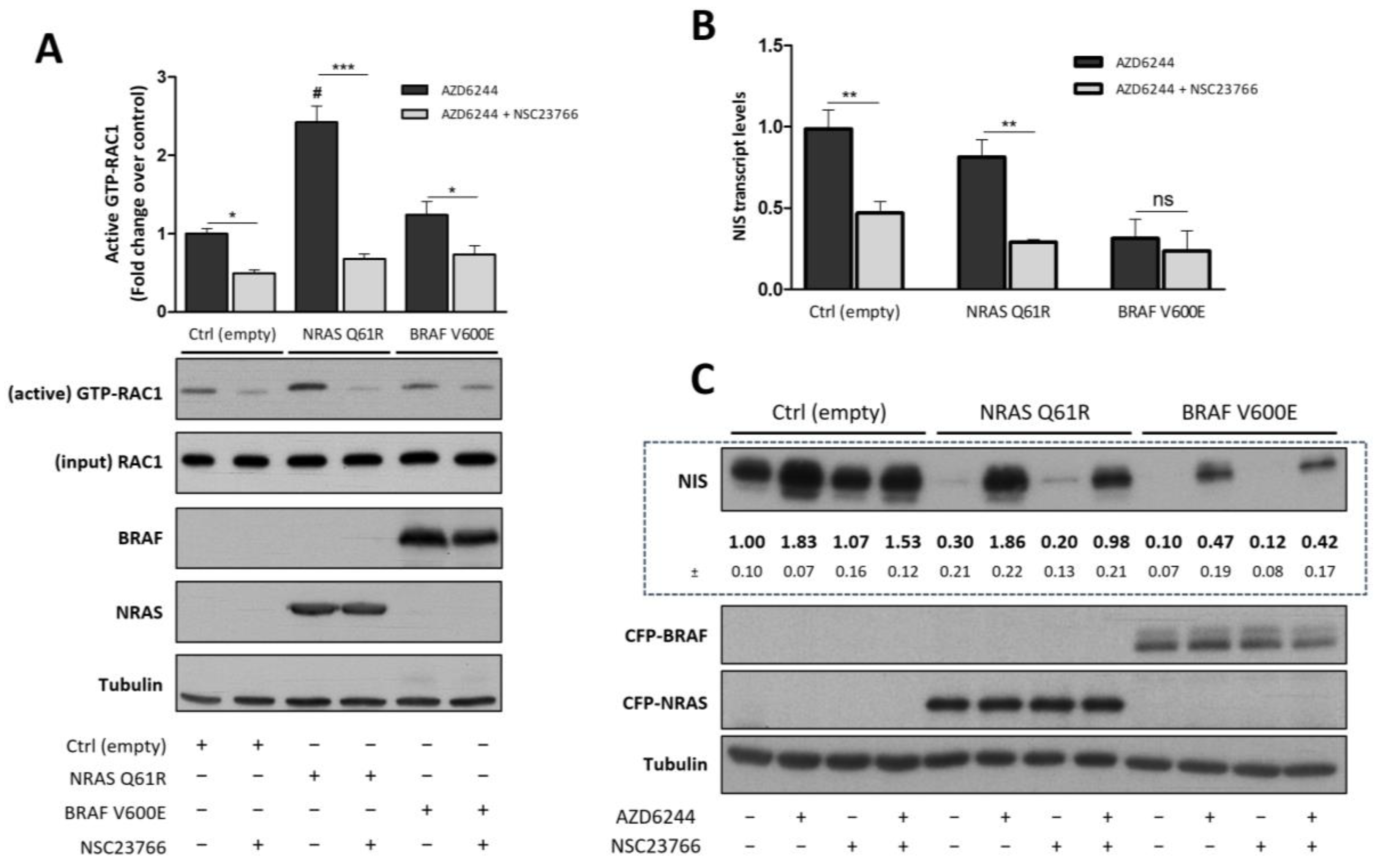 Cancers 13 05861 g003 550