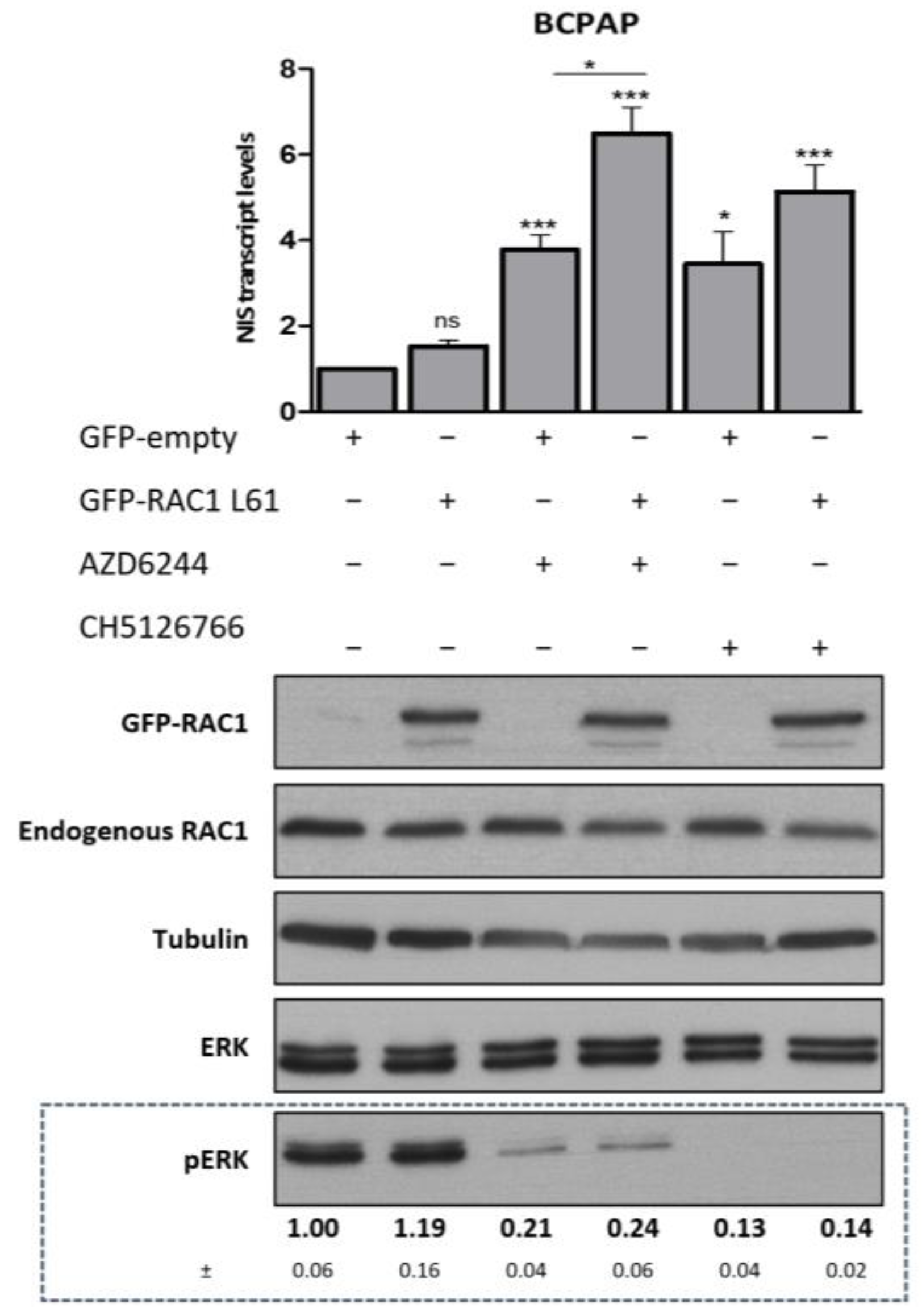 Cancers 13 05861 g004 550