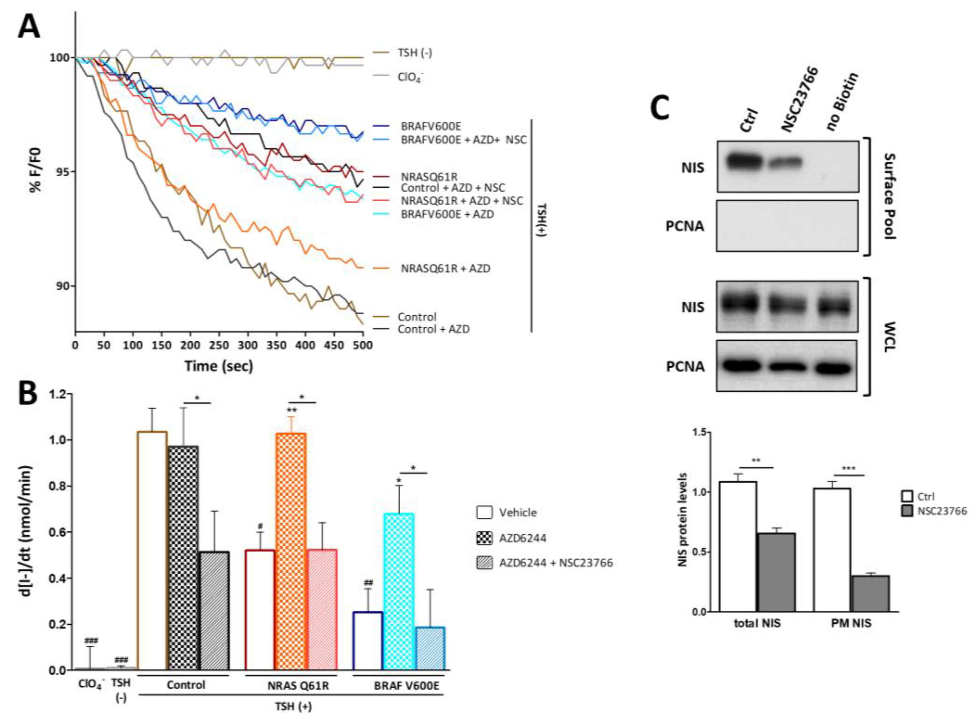 Cancers 13 05861 g005 550