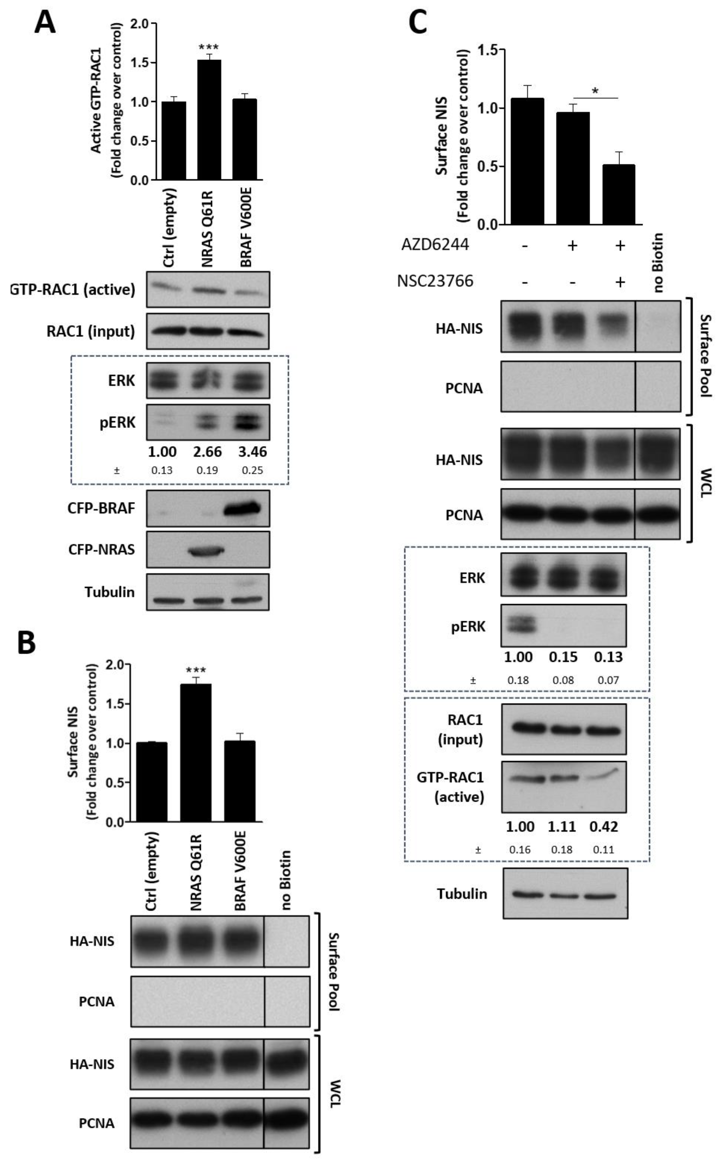 Cancers 13 05861 g006 550