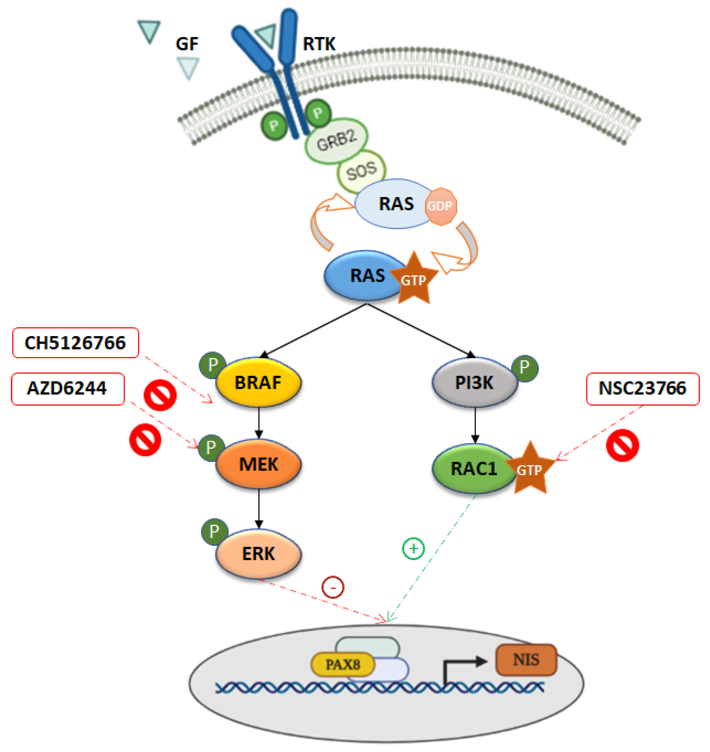Cancers 13 05861 g007 550