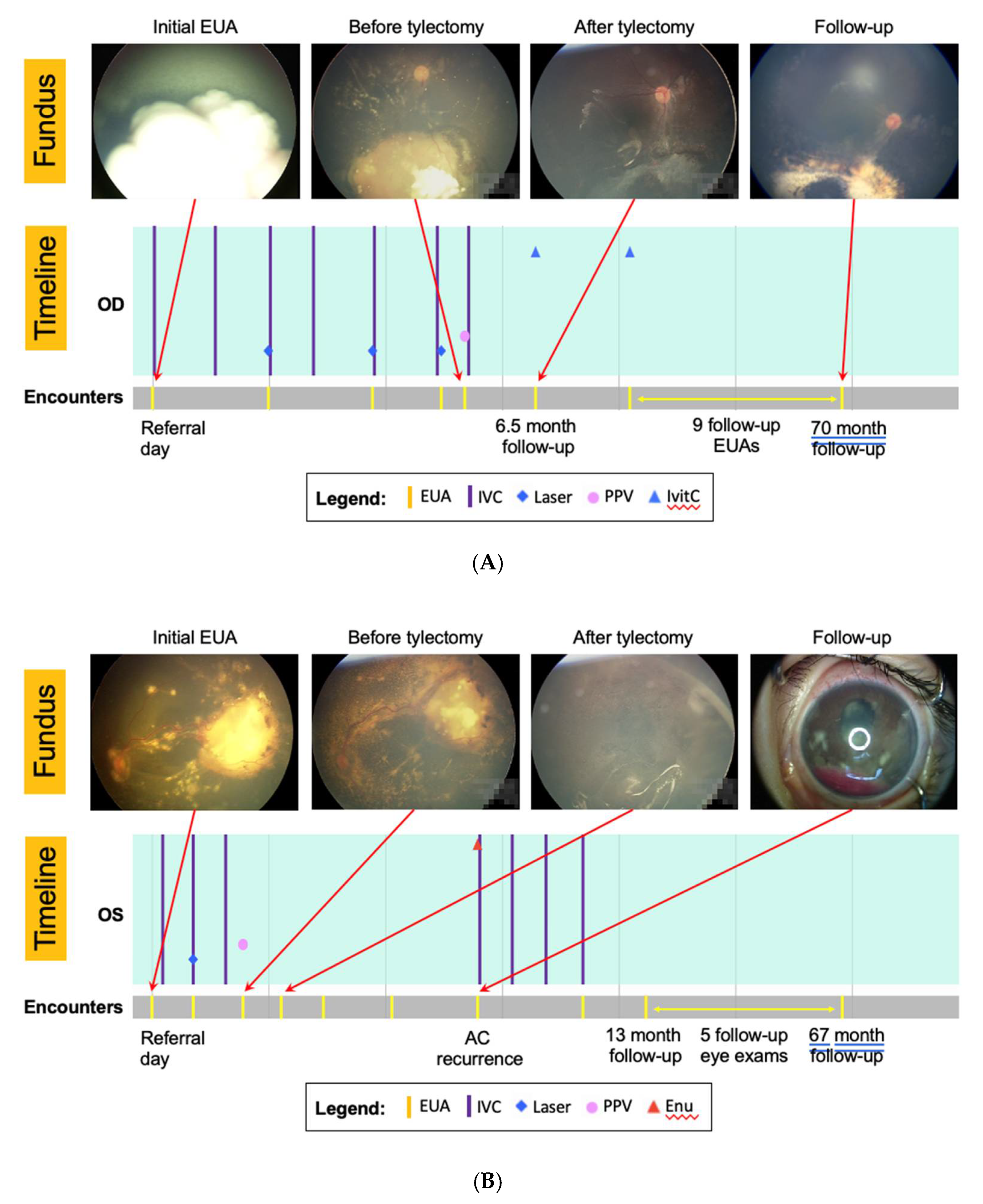 Cancers 13 05862 g002 550