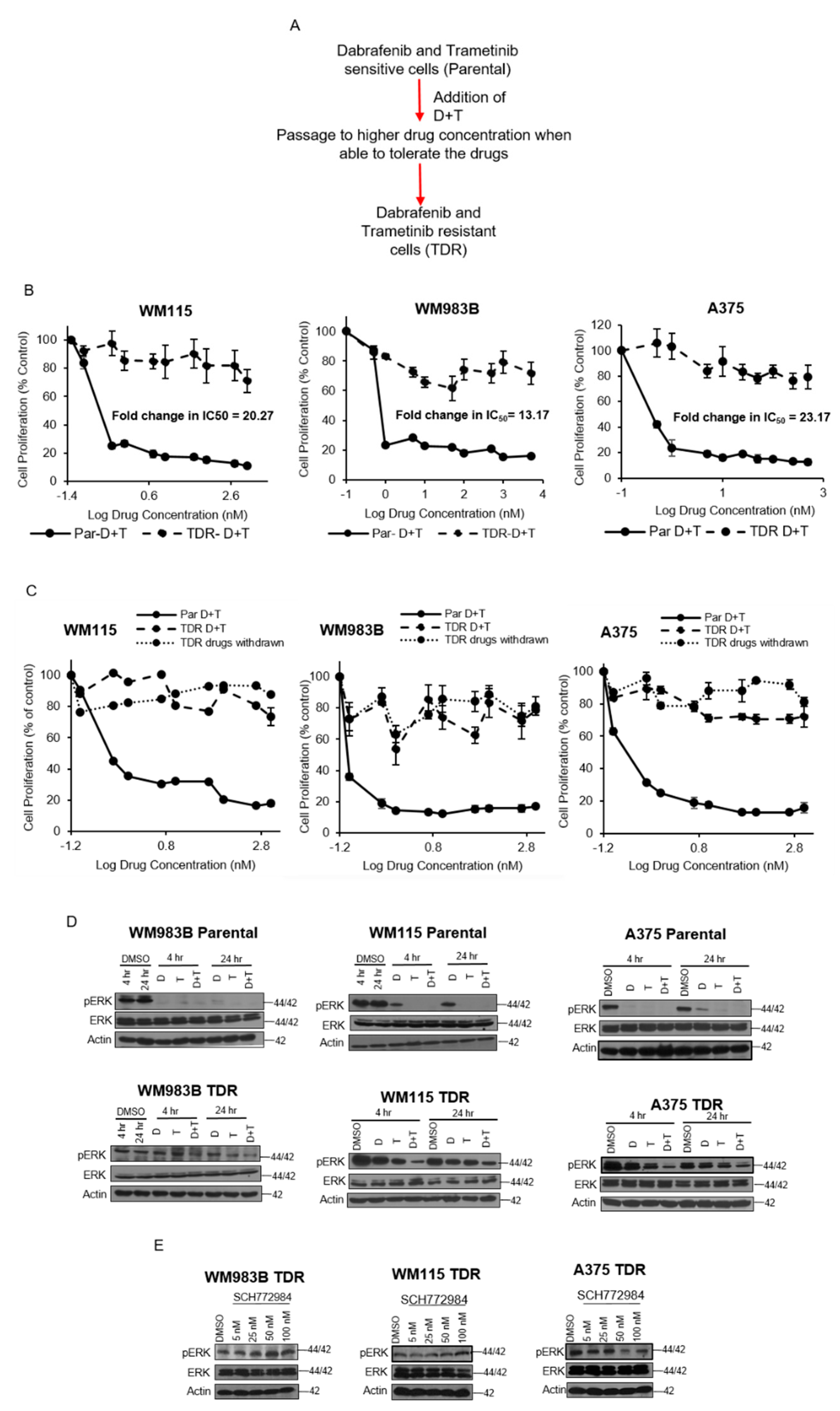Cancers 13 05863 g001