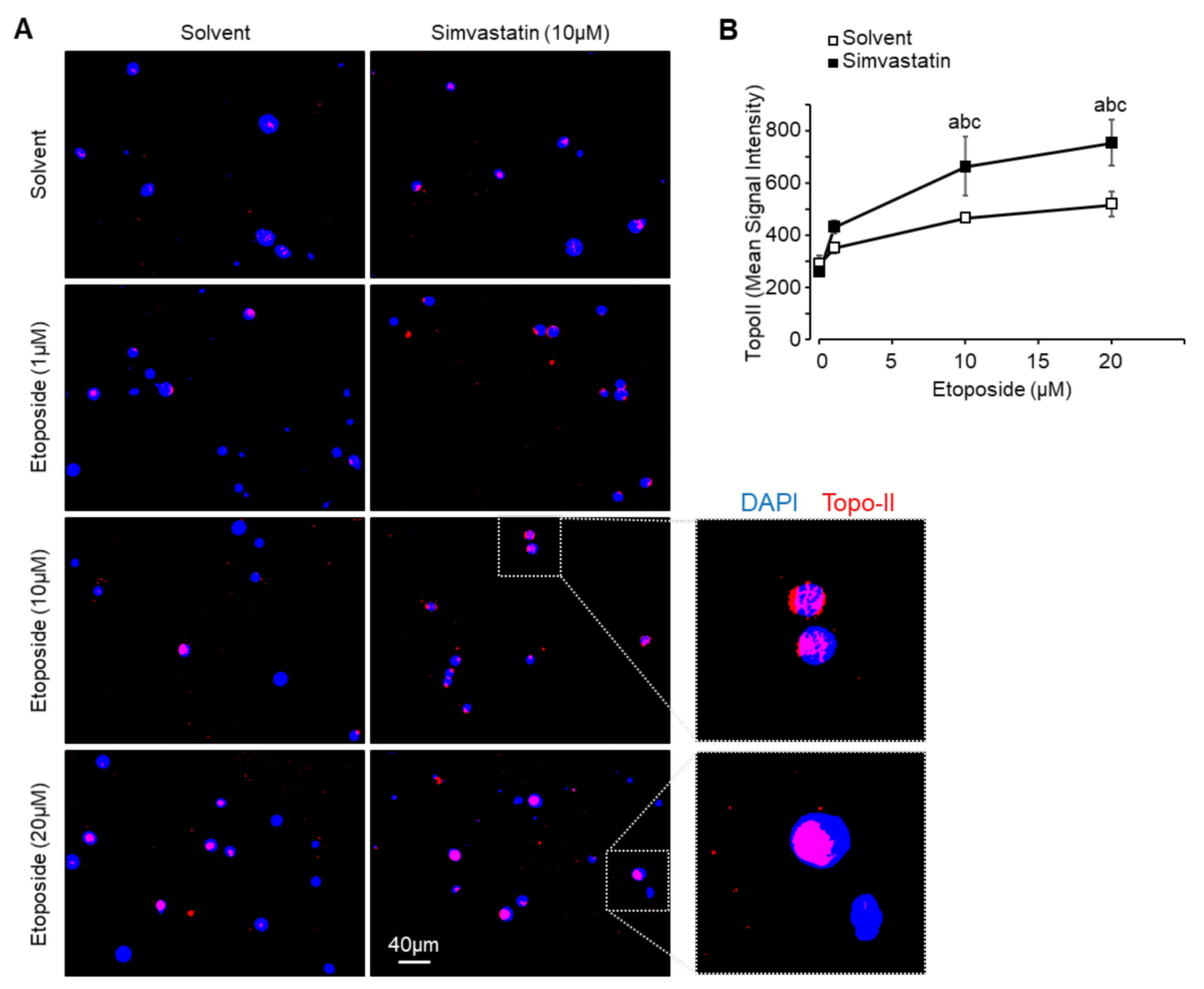 Cancers 13 05869 g005