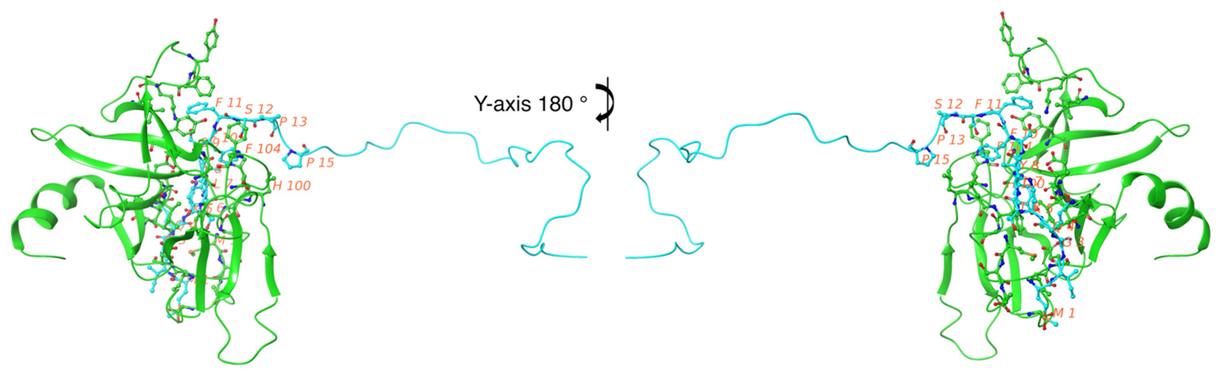 Cancers 13 05870 g003