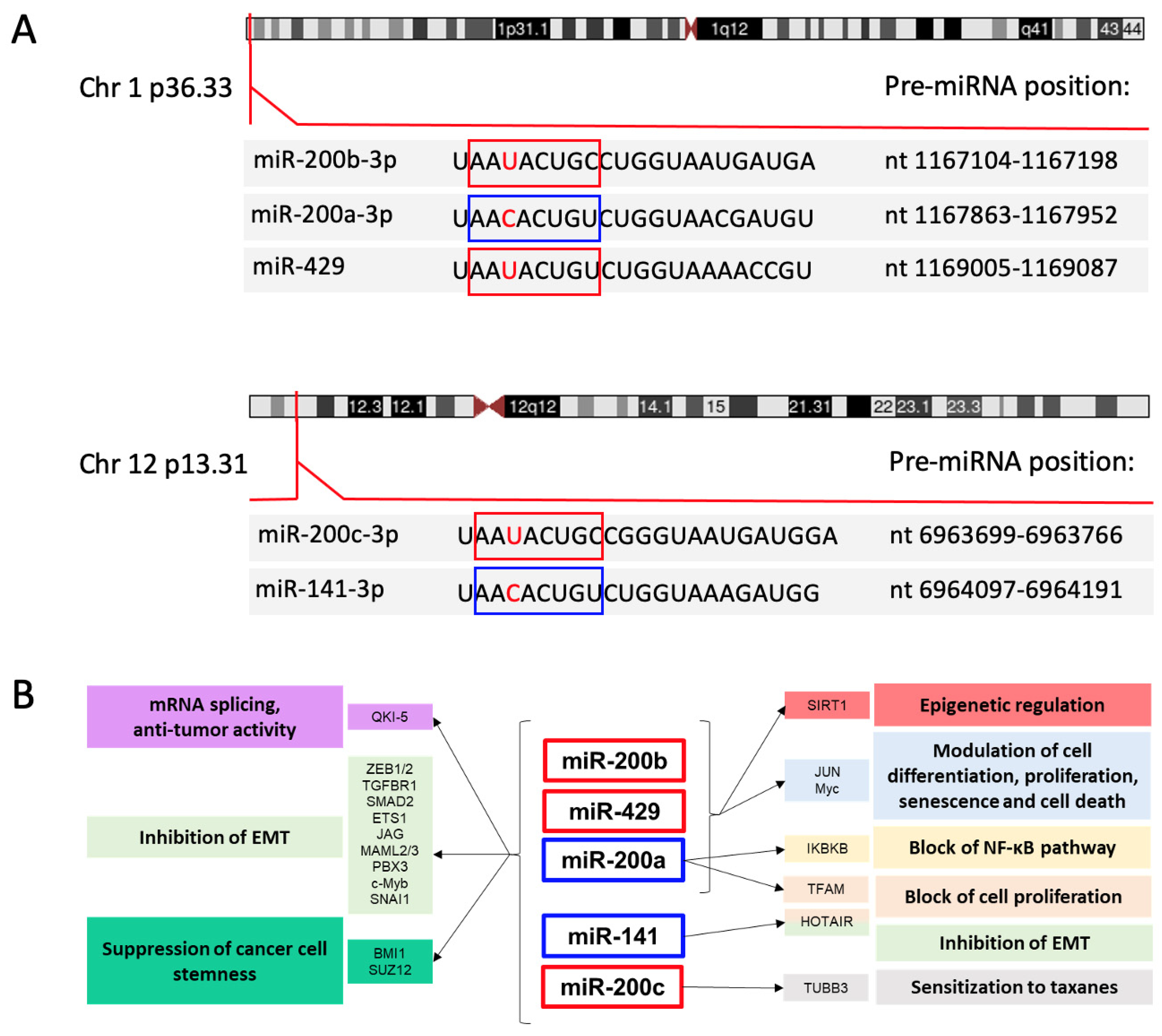 Cancers 13 05874 g001 Cancers 13 05874 g001