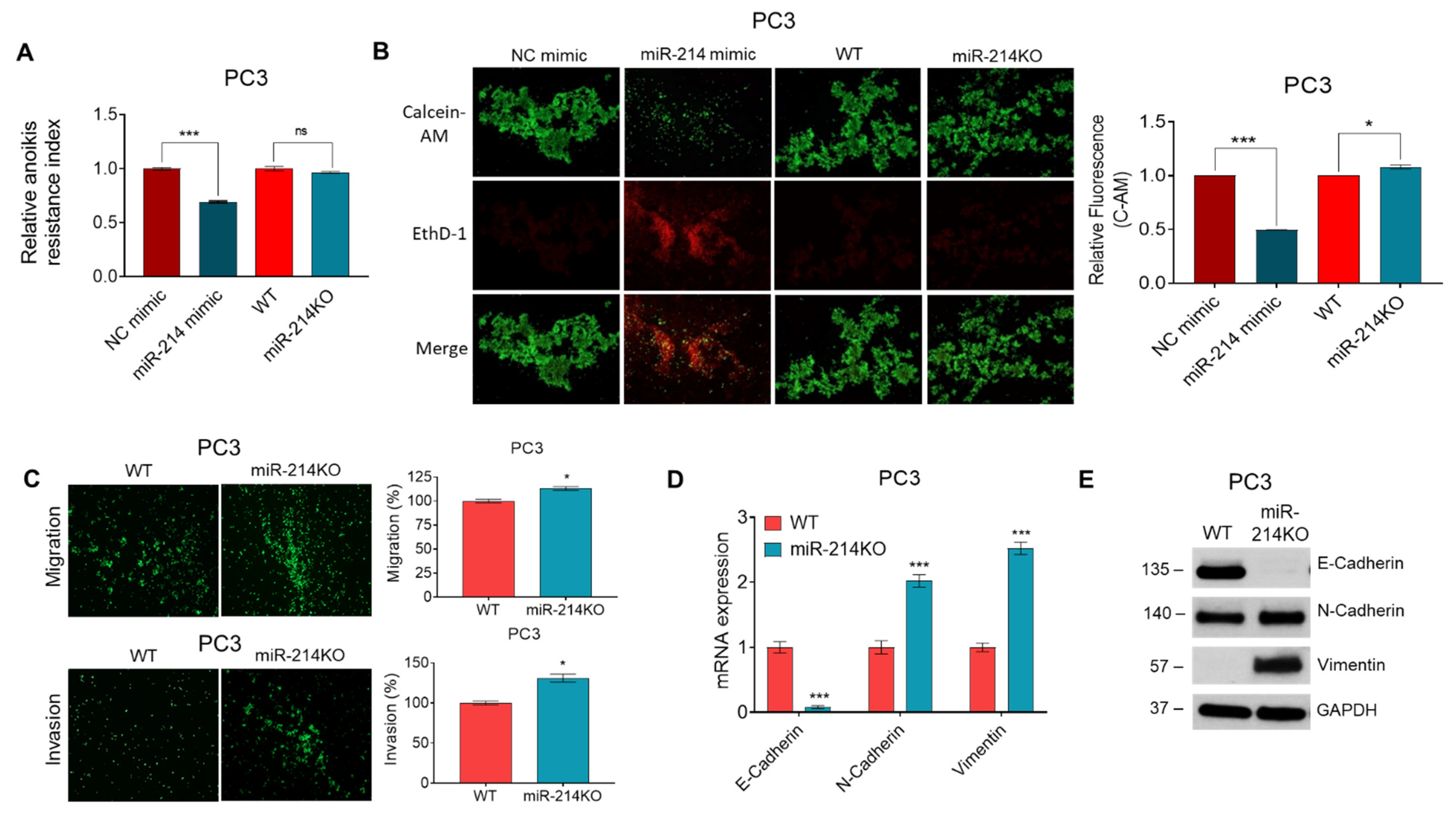 Cancers 13 05875 g002 Cancers 13 05875 g002